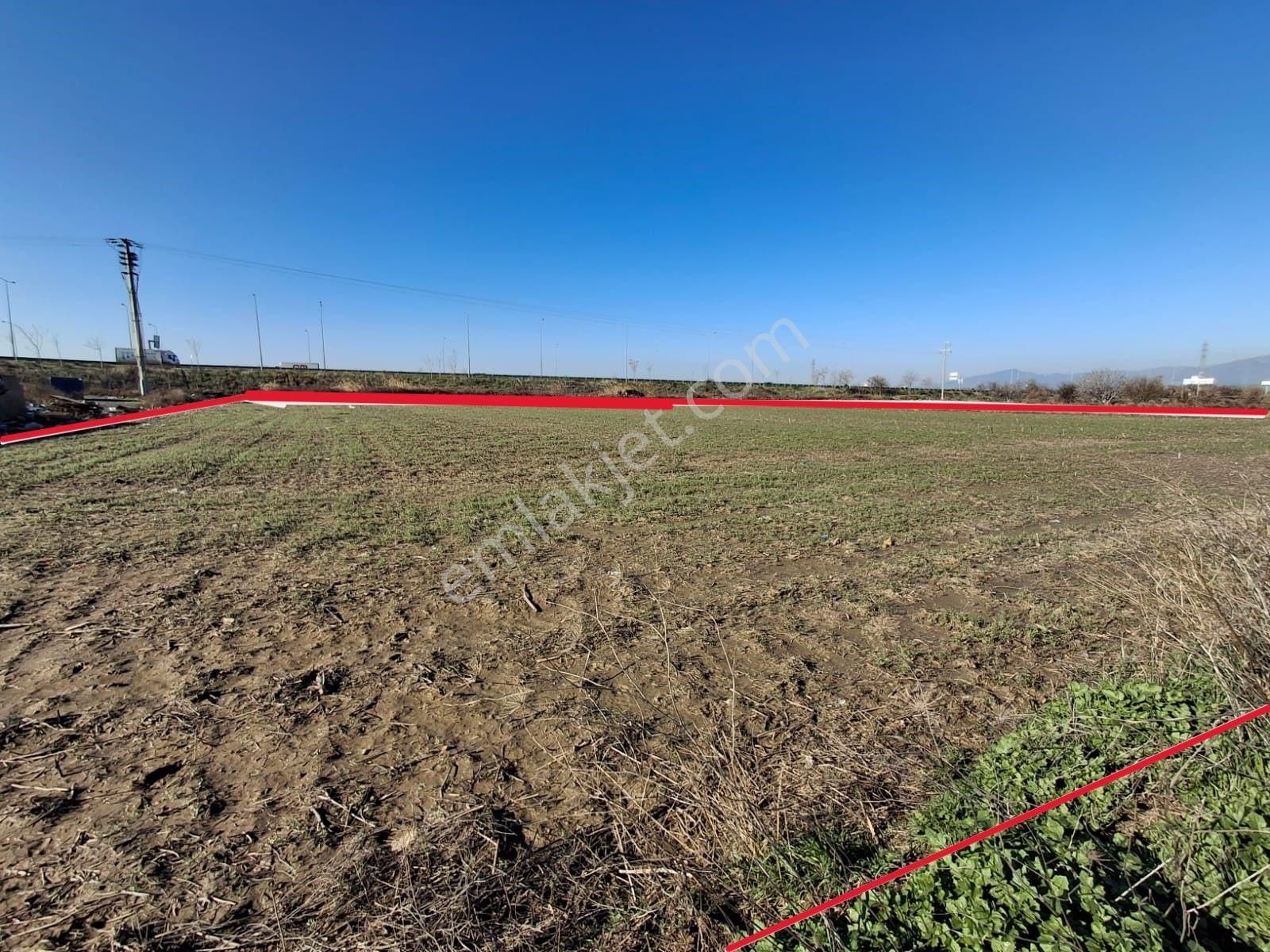 Menemen Ulukent 29 Ekim Mah. 5916 M2 Satılık Tarla - Görsel 12