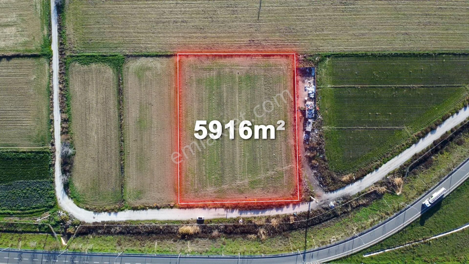 Menemen Ulukent 29 Ekim Mah. 5916 M2 Satılık Tarla - Görsel 4