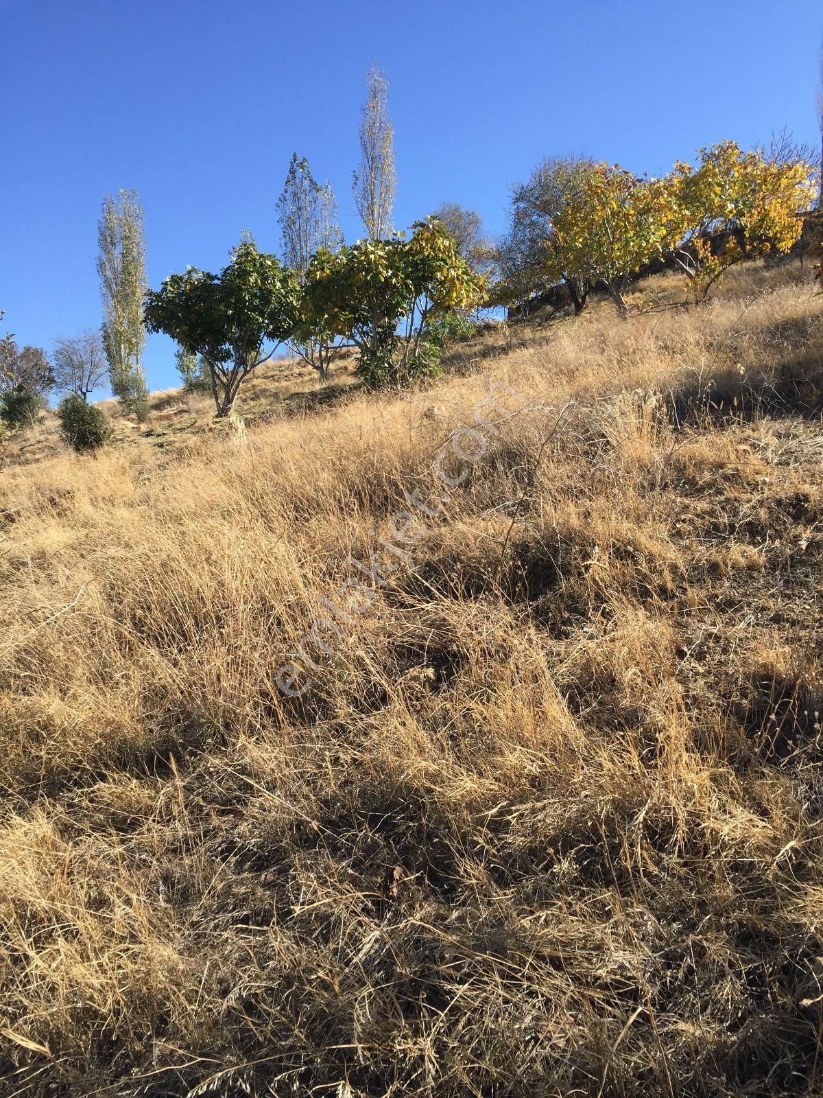 Yenipazar Karaçakal Satılık Tarla Muhteşem Manzaralı; Villa-dağ Oteli-reh..tesisi,yazlık,o.tarım