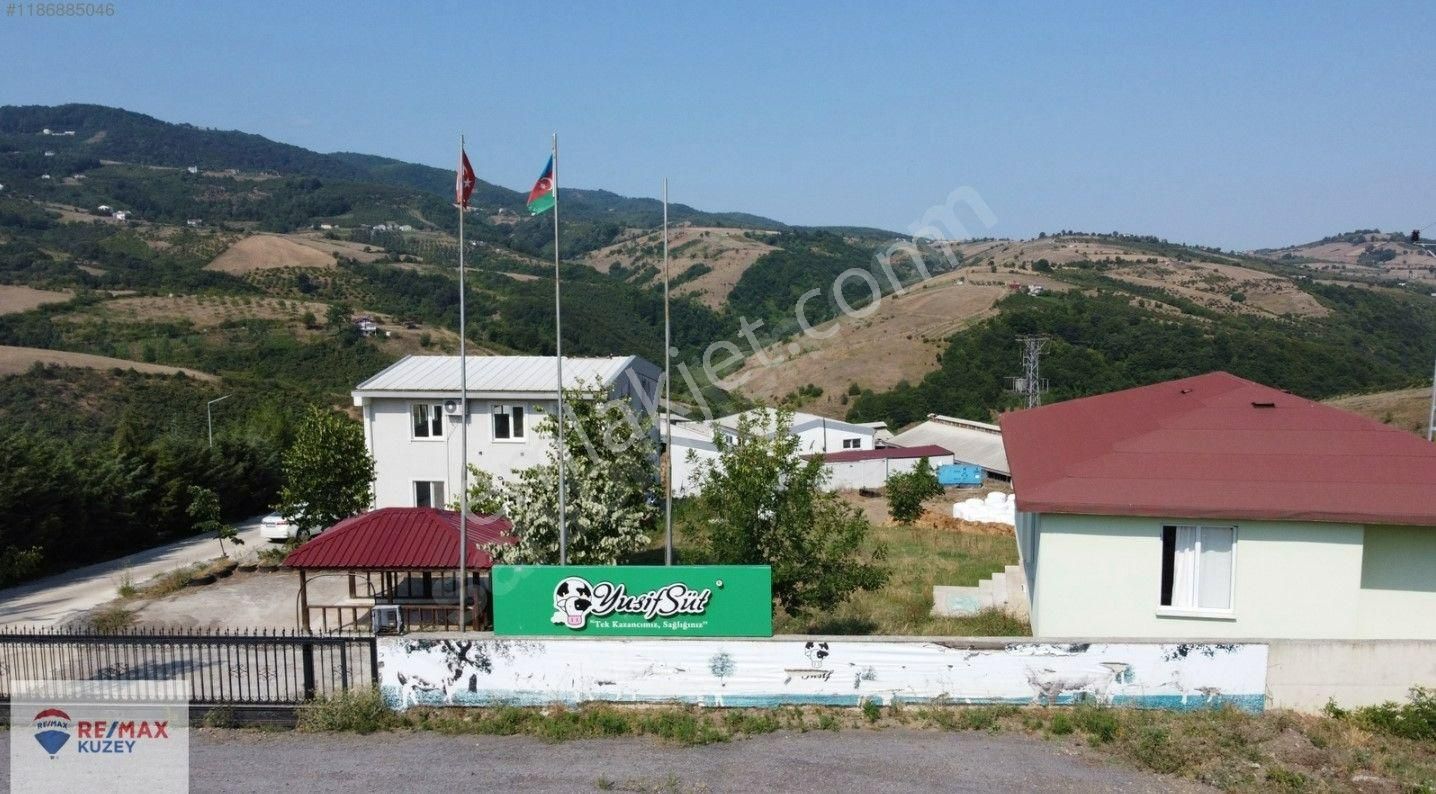 Samsun Atakum Satılık Çiftlik Satılık Hayvancılık Tesisi (süt Sığırı, Damızlık, Besi Hayvanı)