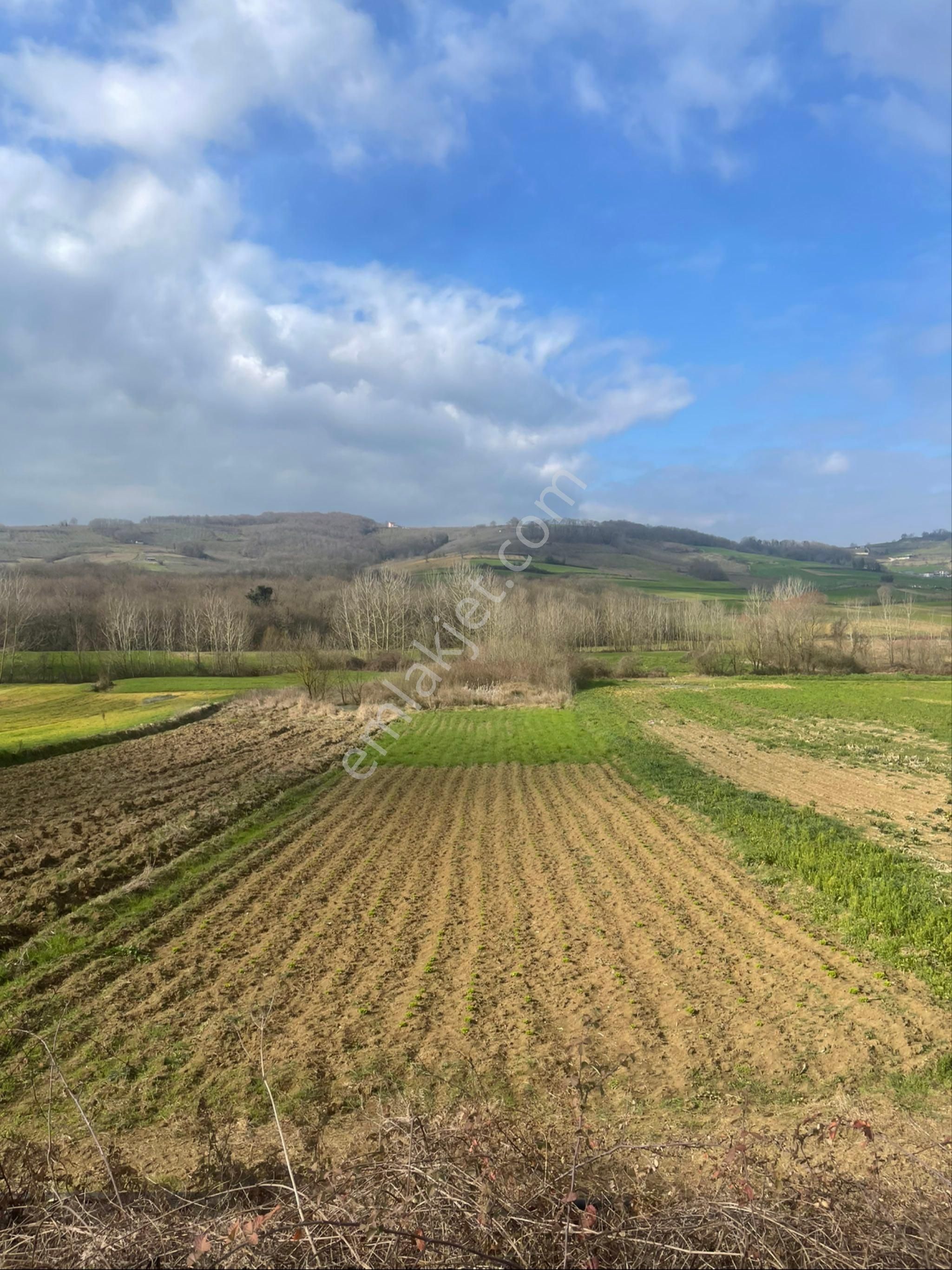 Kaynarca Yeniçam Satılık Tarla Sakarya Yeniçam'da Satılık Ana Asfalta Cephe