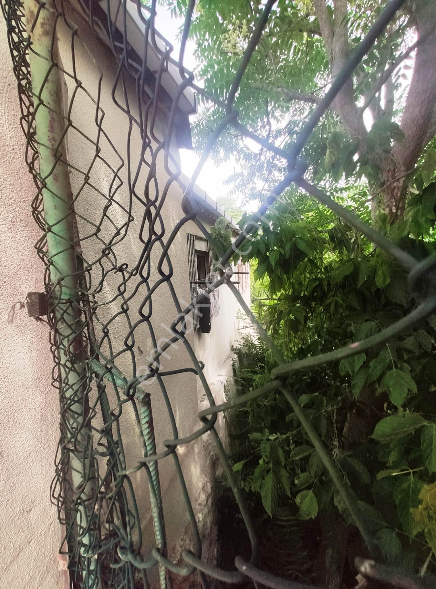 Eyüp Nişancı Zalpaşada 1+1 , 60m2 , Tek Katlı Müstakil Ev, Kombili, Bakımlı - Görsel 26