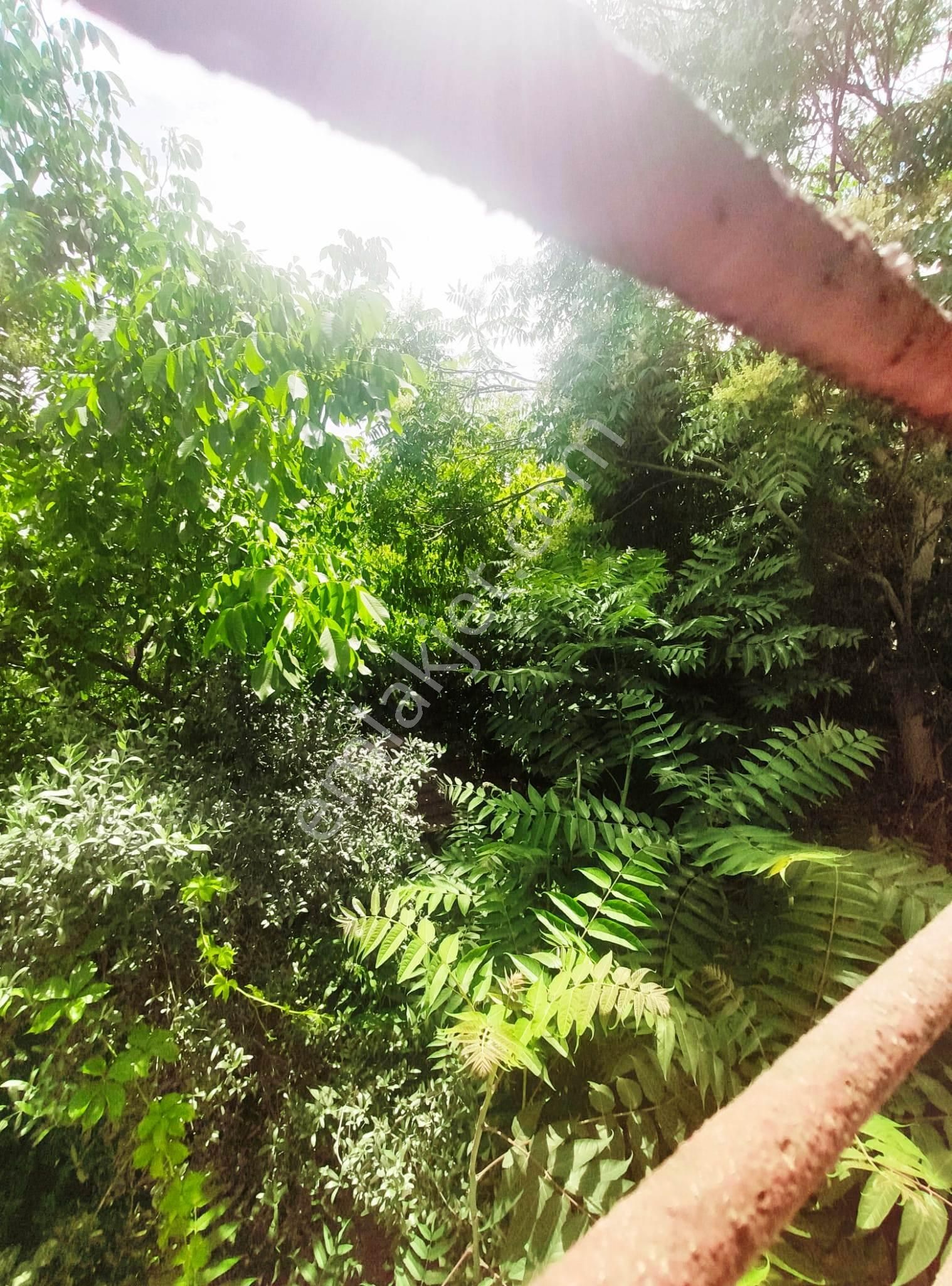 Eyüp Nişancı Zalpaşada 1+1 , 60m2 , Tek Katlı Müstakil Ev, Kombili, Bakımlı - Görsel 25