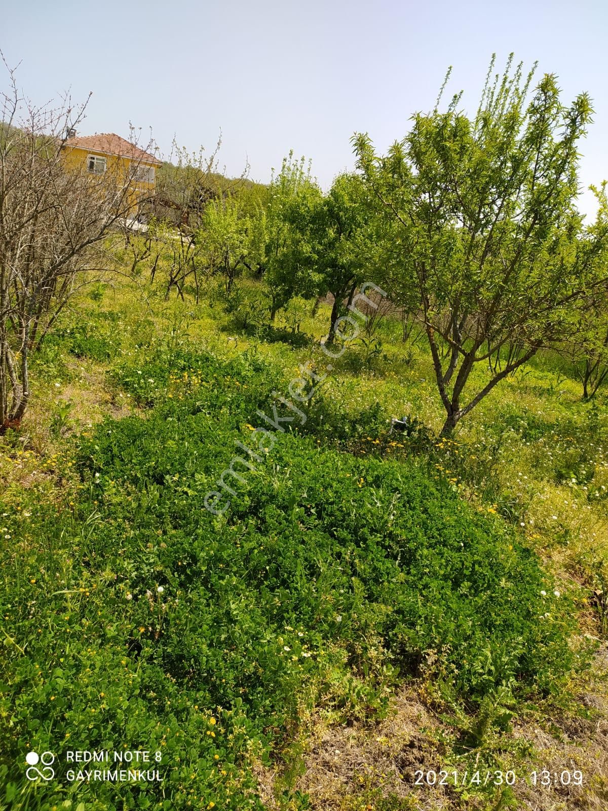 Hicret Emlaktan Satılık Yazlık Silivir Büyük Sinekli 1.950 M2 - Görsel 7