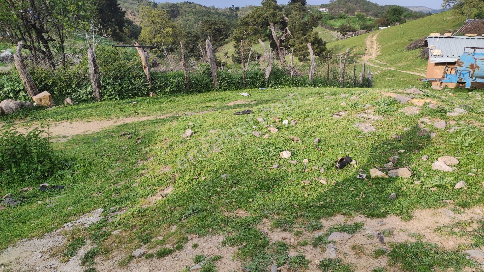 Bergama Göçbeyli Kaplan Satılık Köy Evi Göçbeyli Kaplan Köyiçi Bahçeli Uygun