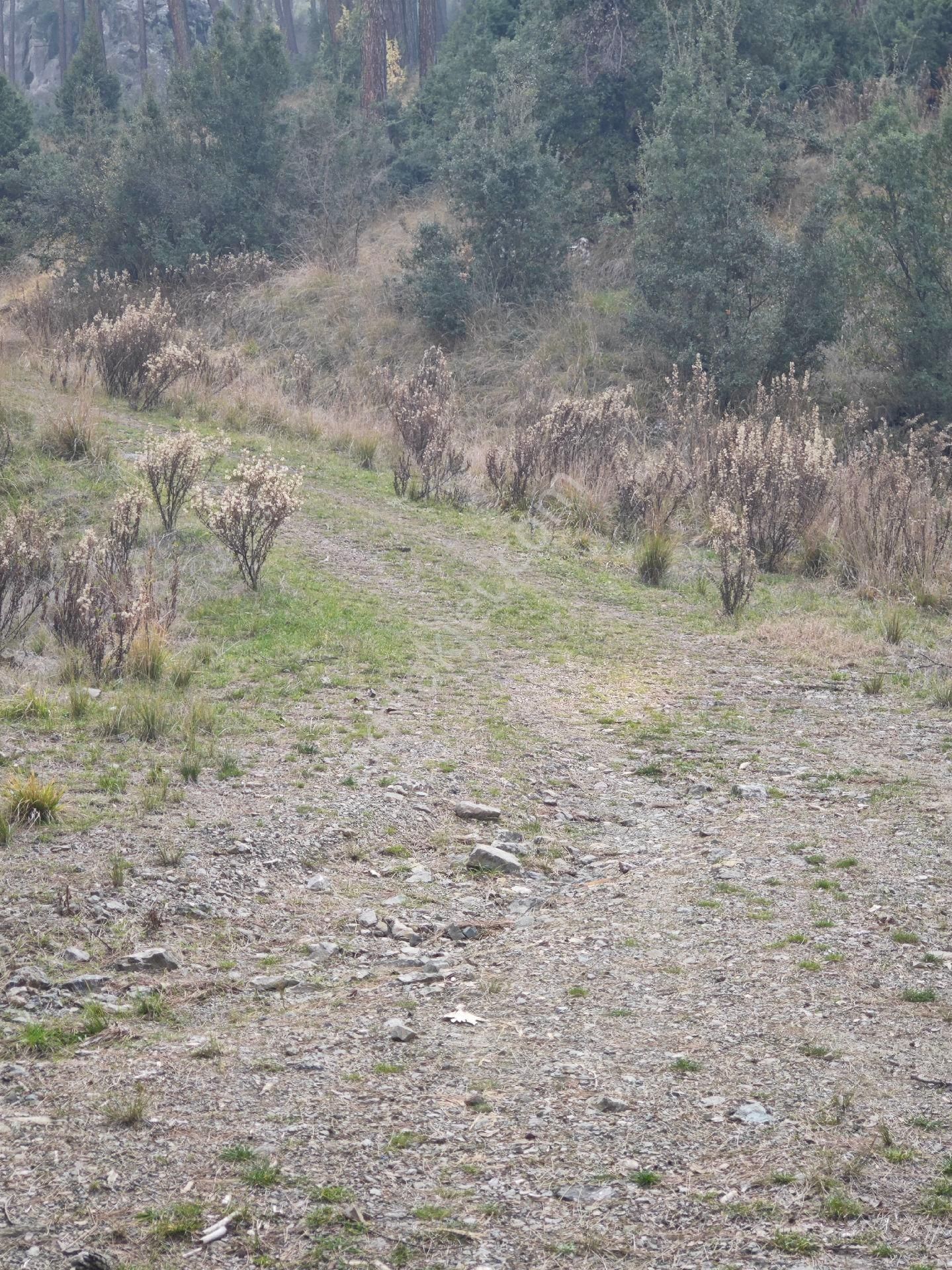 Mezitli Kocayer Satılık Tarla Kocayer Yaylasi 3700 M2