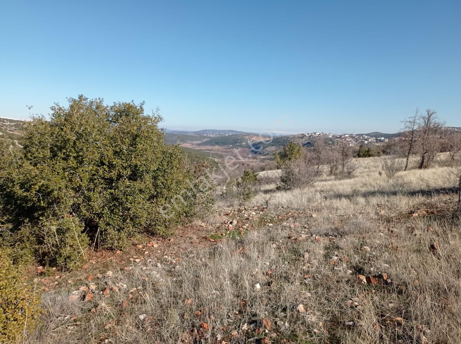 Şehitkamil Sarılar Satılık Arazi Eski Adana Yolunda Gaziantep E 30 Km Fıstıklık 6.730.39 M2