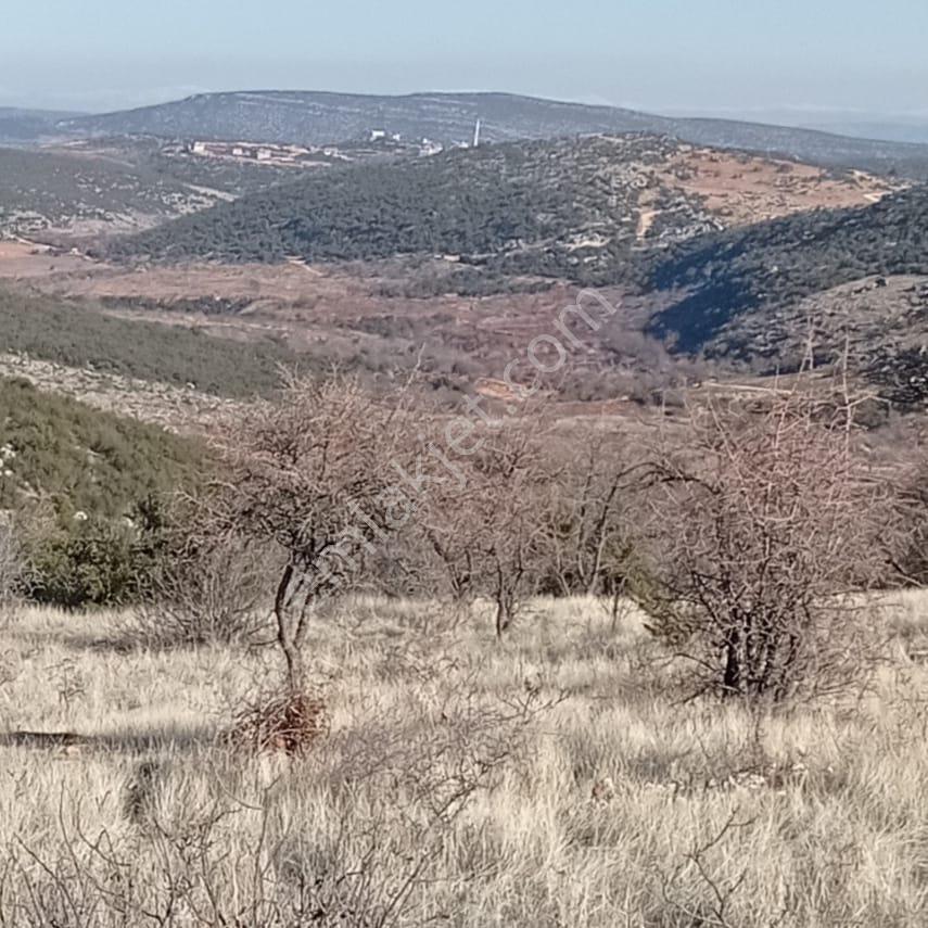 Şehitkamil Sarılar Da Satılık Fıstıklık 6.730.39 M2 - Görsel 4