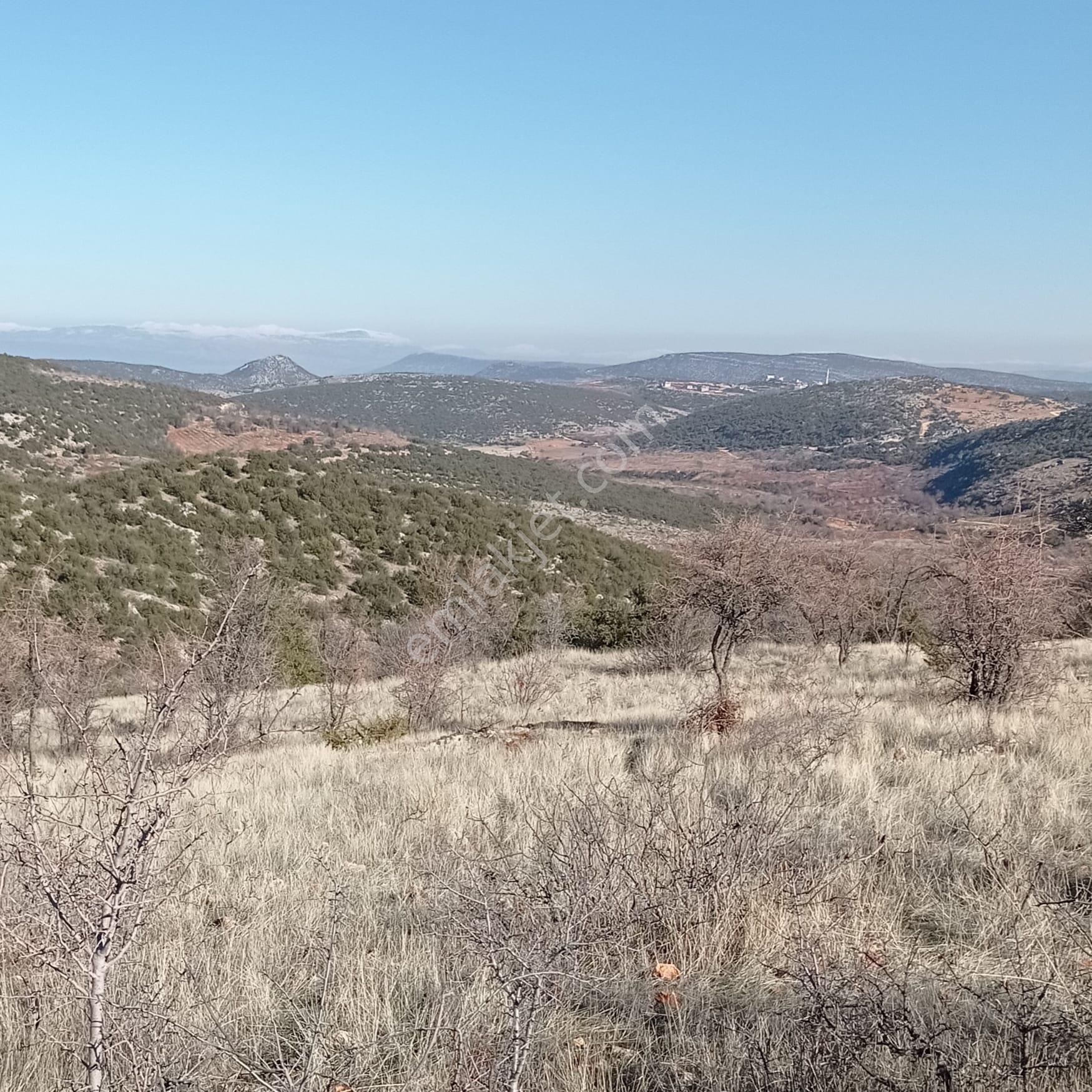 Şehitkamil Sarılar Da Satılık Fıstıklık 6.730.39 M2 - Görsel 3