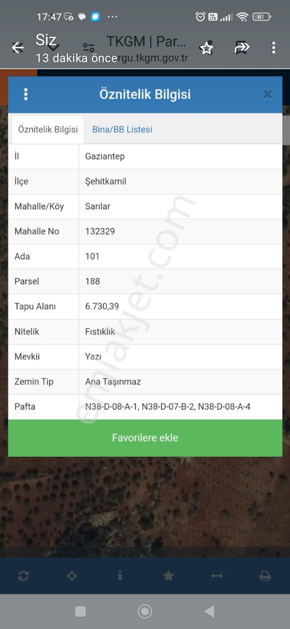Şehitkamil Sarılar Da Satılık Fıstıklık 6.730.39 M2 - Görsel 6