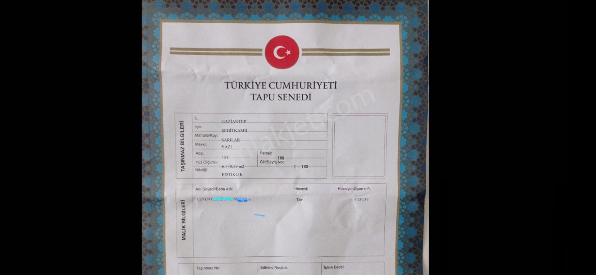 Şehitkamil Sarılar Da Satılık Fıstıklık 6.730.39 M2 - Görsel 5