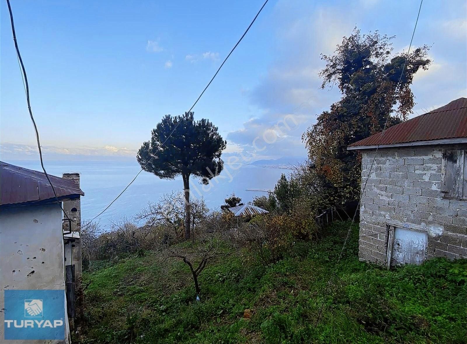 Altınordu Kirazlimanı Satılık Bağ & Bahçe Ordu Kirazlimanı Full Deniz Manzaralı Fırsat Satılık Arsa