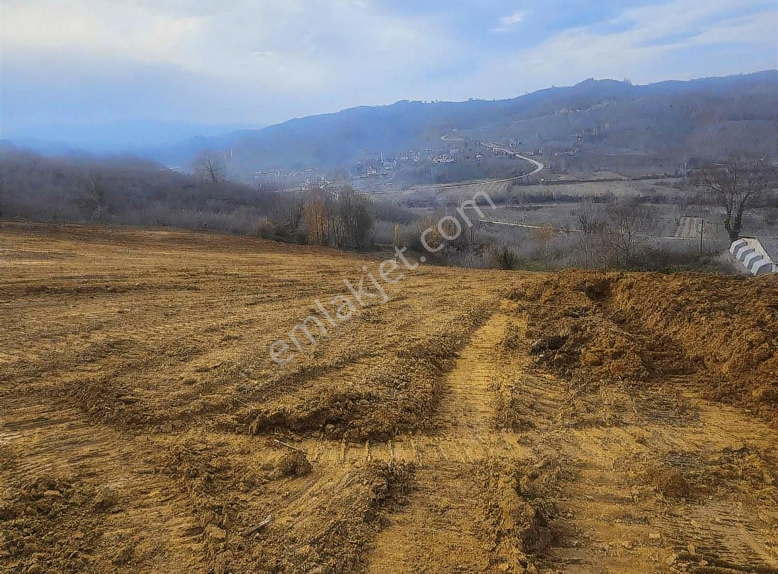 Akçakoca Uğurlu Köyü Satılık Konut İmarlı Eski Emlak Tan Düzce Akçakoca Uğurluda 1.700m2arsa