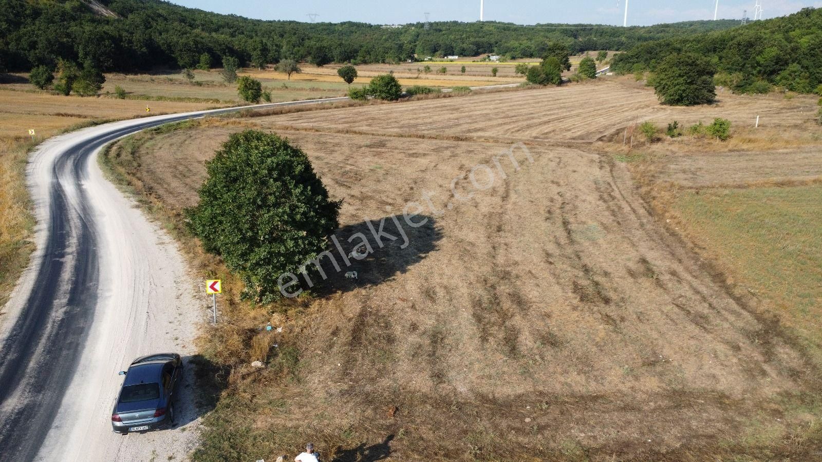 Mudanya Yörükali Satılık Tarla Bursa Mudanya Yörukalı Satılık 1476m2 Zeytınlık (77)