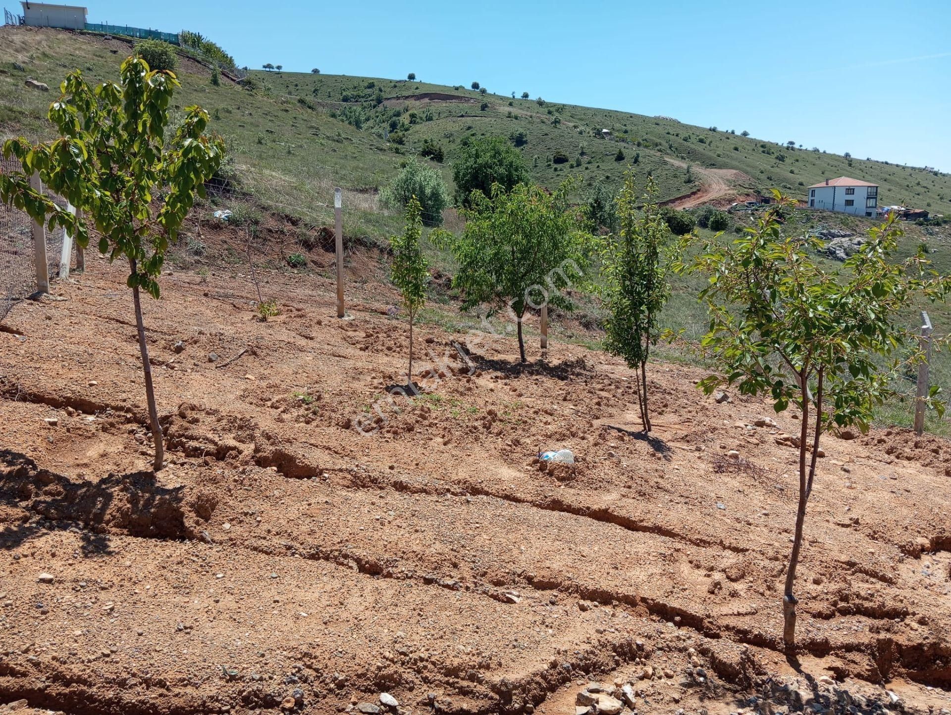 Ev Ve Araba Takaslı Sahibinden.villa İmarlı. Açıklamayı Oku - Görsel 3