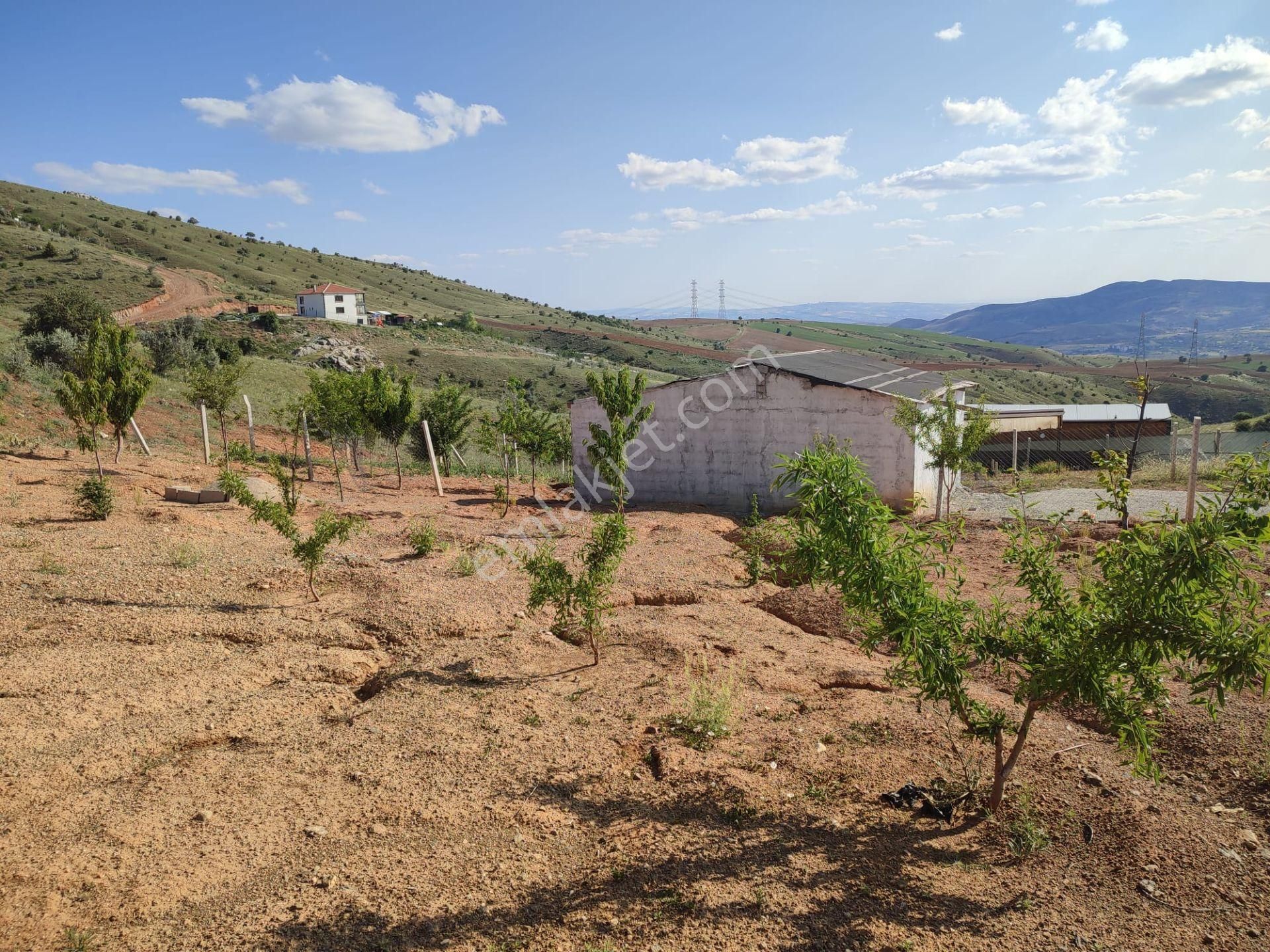 Ev Ve Araba Takaslı Sahibinden.villa İmarlı. Açıklamayı Oku - Görsel 23