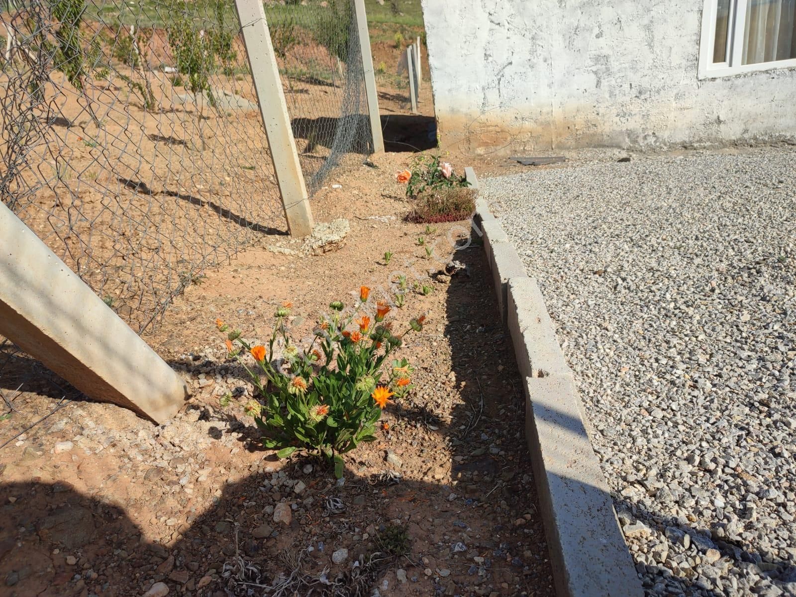 Ev Ve Araba Takaslı Sahibinden.villa İmarlı. Açıklamayı Oku - Görsel 22