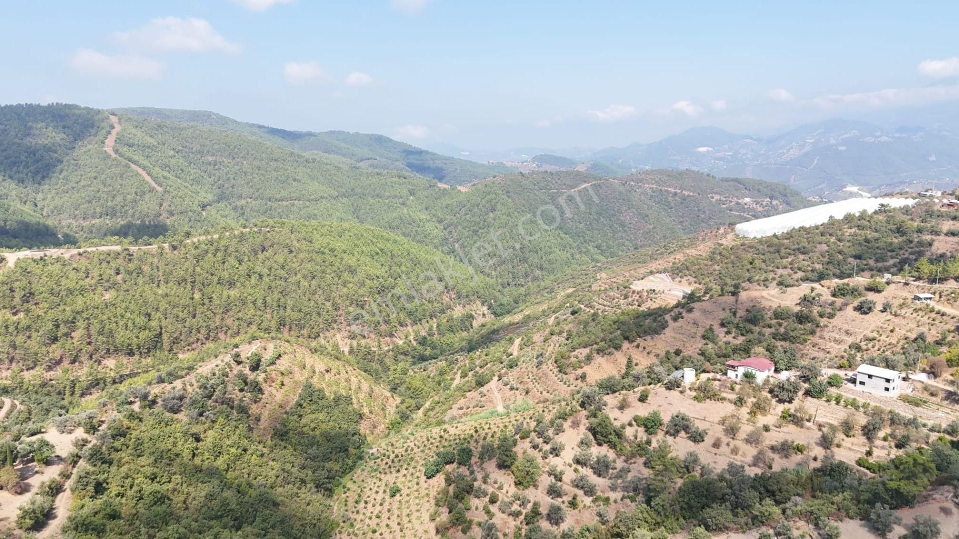 Alanya Çamlıca Satılık Tarla Alanya Çamlıça Mahallesin'de Satılık Tarla