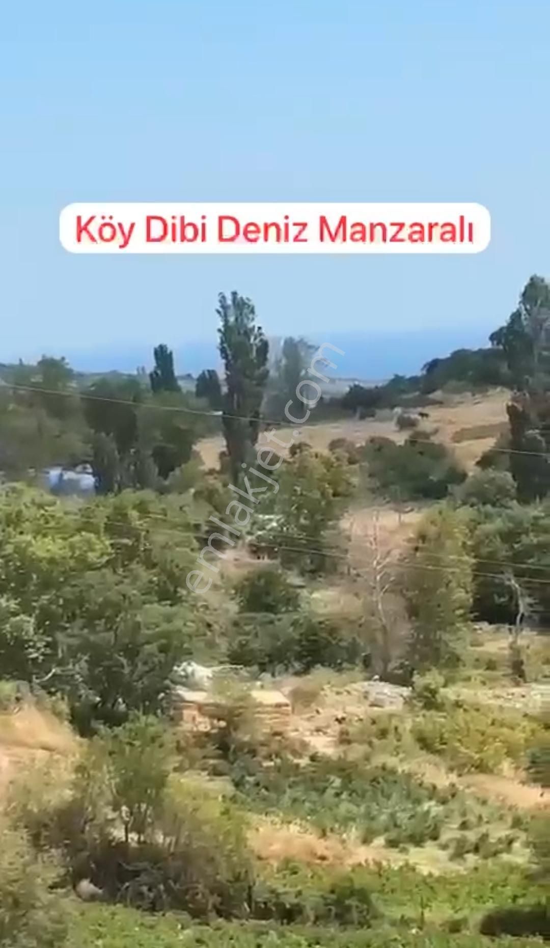 Şarköy Mursallı Satılık Tarla Şarköy Mursallı 1.139m2 Deniz Manazaralı Yerleşim Dibi Fırsat Arsa