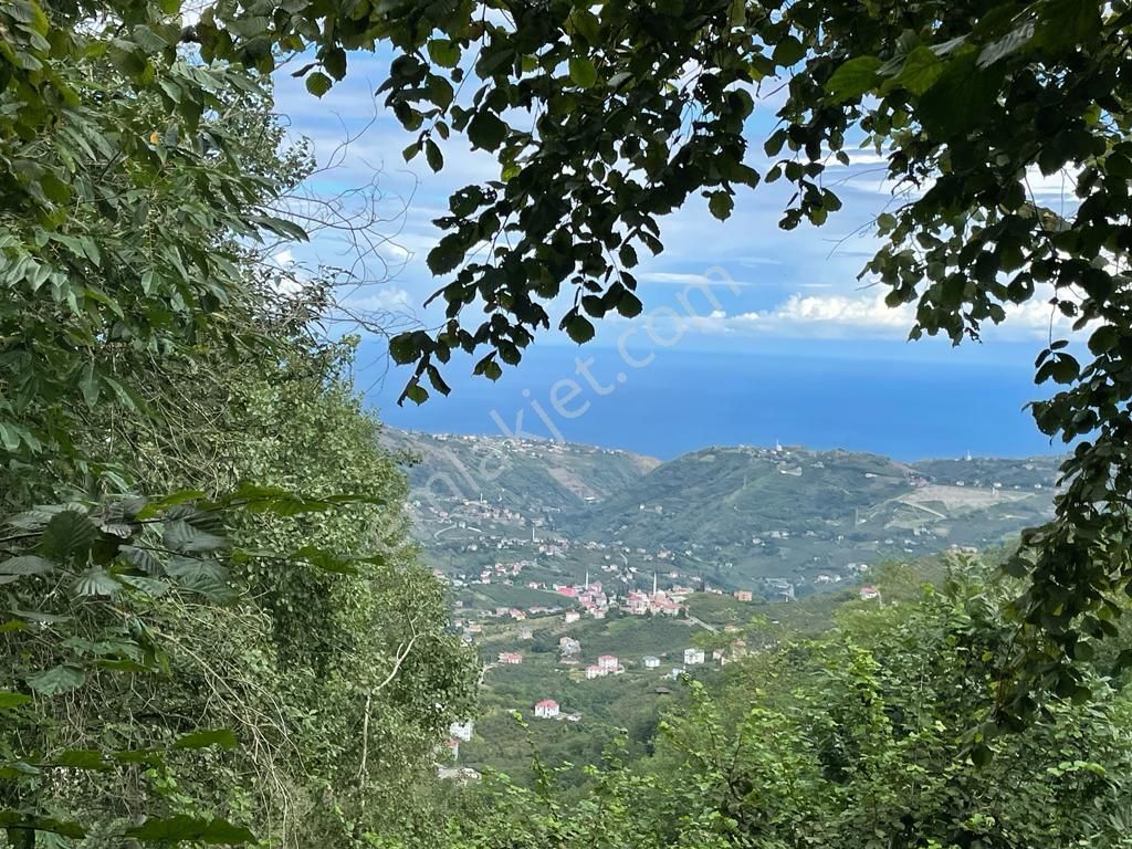 Ortahisar Doğançay Satılık Tarla Trabzon Ortahisar Doğançay Mahallesi'nde Satılık Arsa