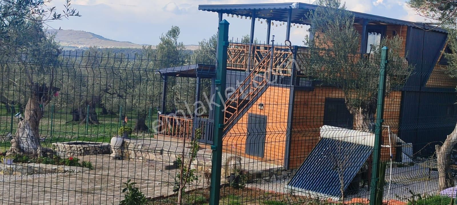 Deniz Manzaralı Süper Zeytinlik – 5 Dönüm – Resmi Yolu Mevcut! 🌿🌊 - Görsel 5