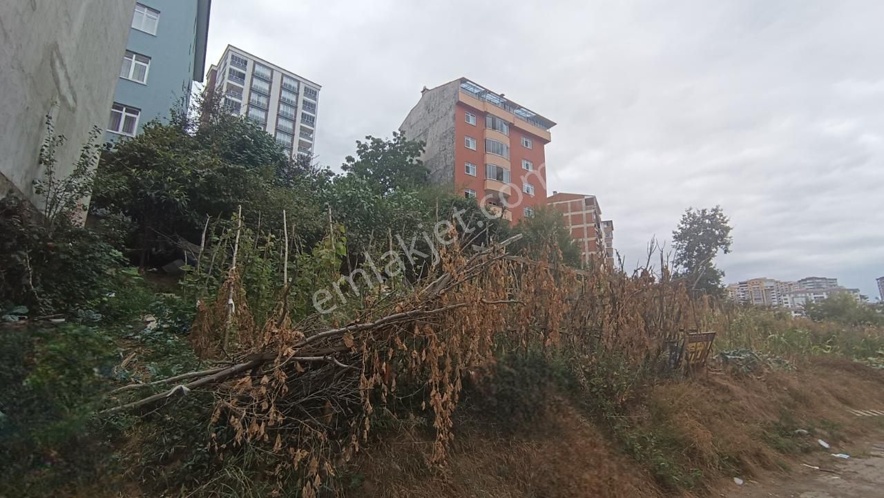 Yomra Kaşüstü Satılık Konut İmarlı Trabzon Yomra Kaşüstü'nde Konut İmarlı Satılık Arsa