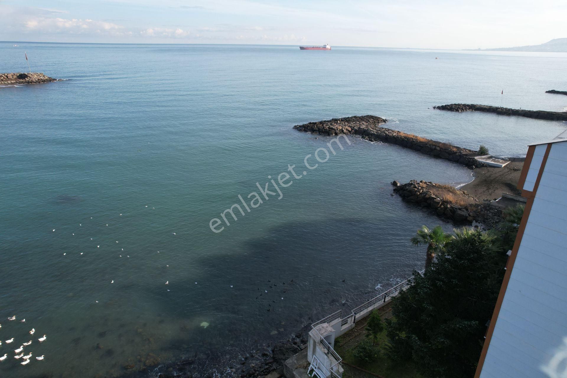 Akçaabat Yıldızlı Denize Sıfır Ticari+konut İmarlı Satılık Arsa - Görsel 6
