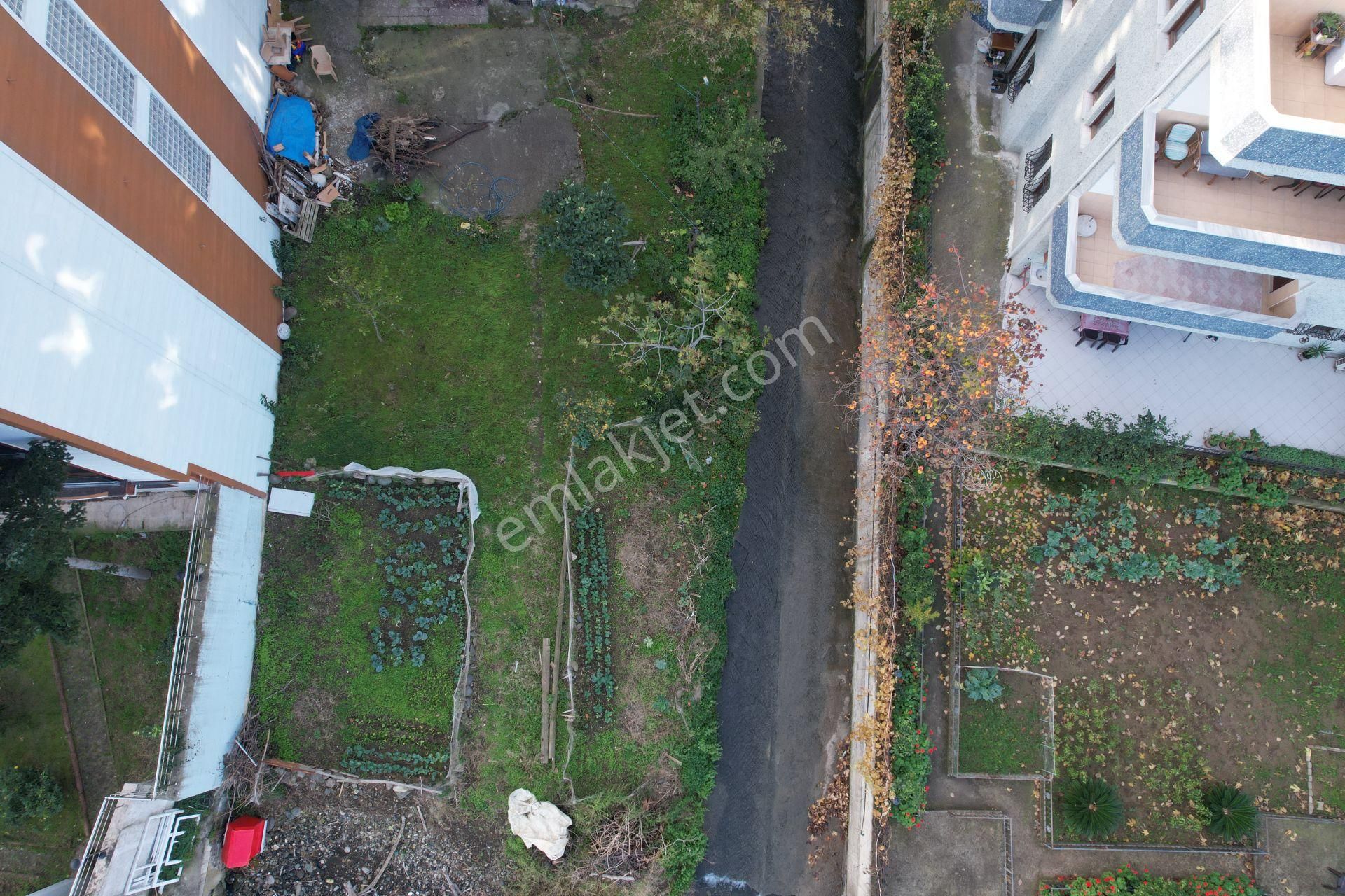 Akçaabat Yıldızlı Denize Sıfır Ticari+konut İmarlı Satılık Arsa - Görsel 3