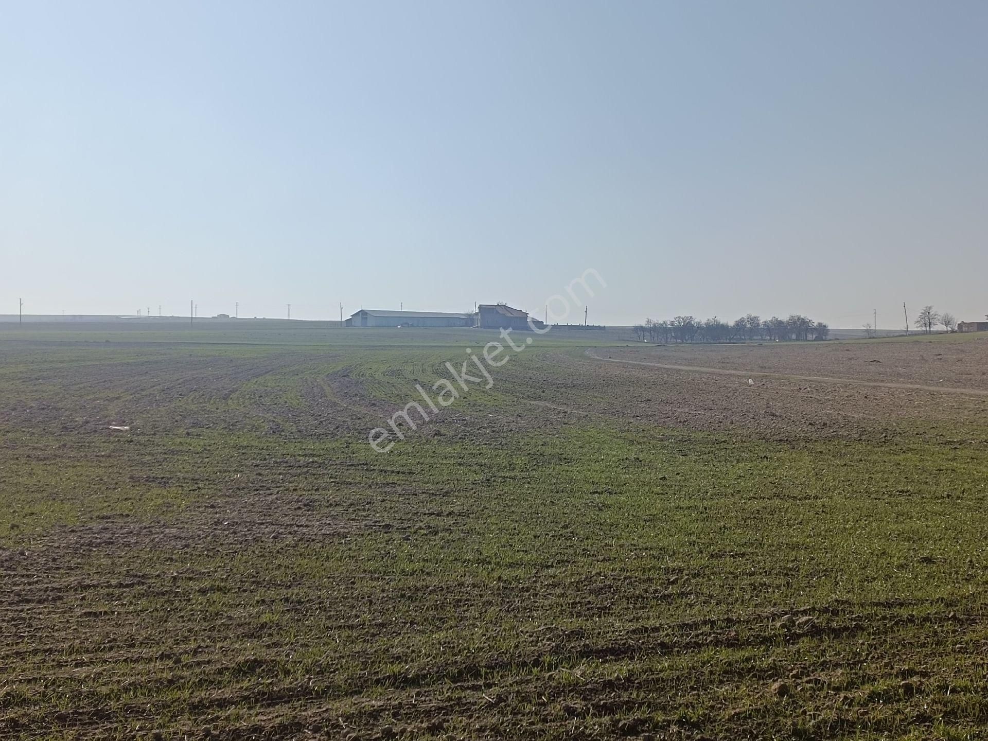 Aksaray Merkez İncesu Köyü (Camikebir) Satılık Tarla İncesu Köyünde Sahibinden Satılık