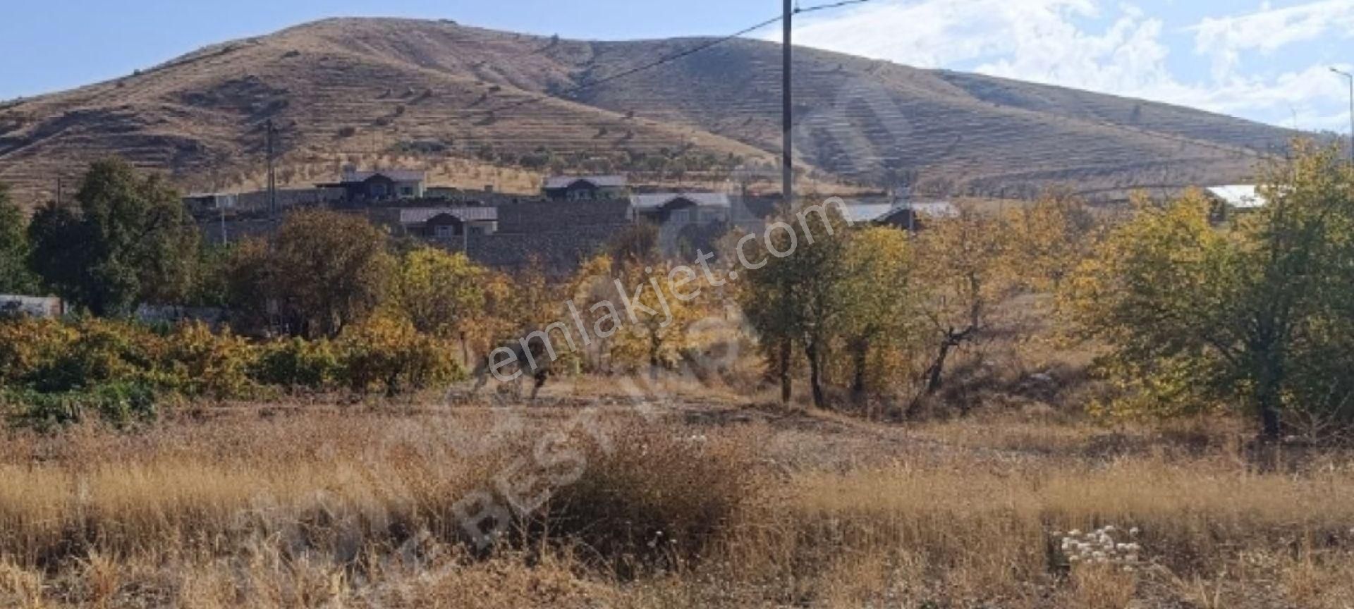 Elazığ Merkez Gözebaşı Köyü Satılık Tarla The Best'ten Gözebaşı ( Kinederiç) Köy İçinde Satılık Tarla