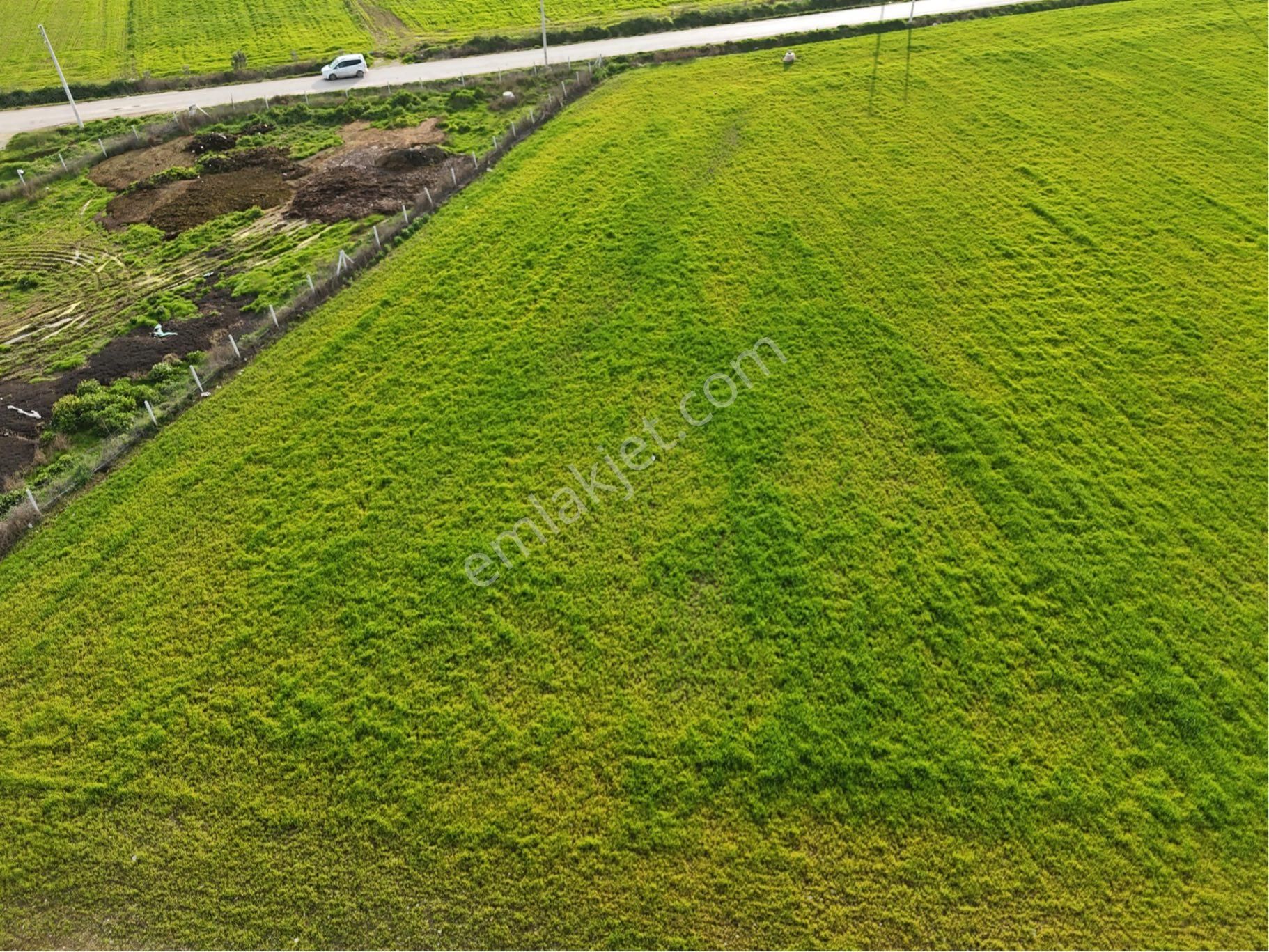Erbaş Gayrimenkul Den Satılık Tek Tapu Tarla - Görsel 10