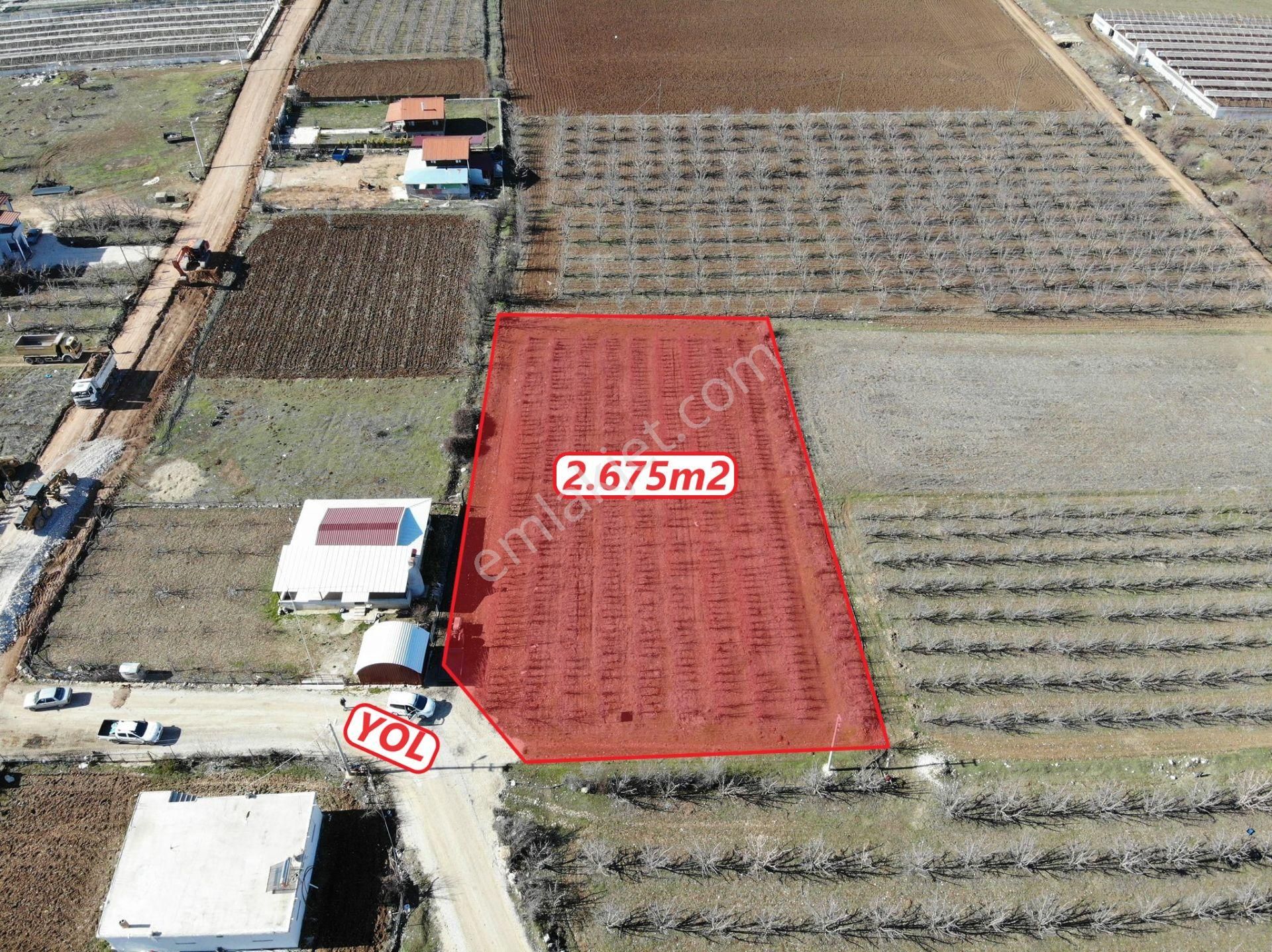 Elmalı Zümrütova Mahalle Merkezinde Kadastrol Yola Cephe 2.765m2 Satılık Elma Bahçesi - Görsel 4