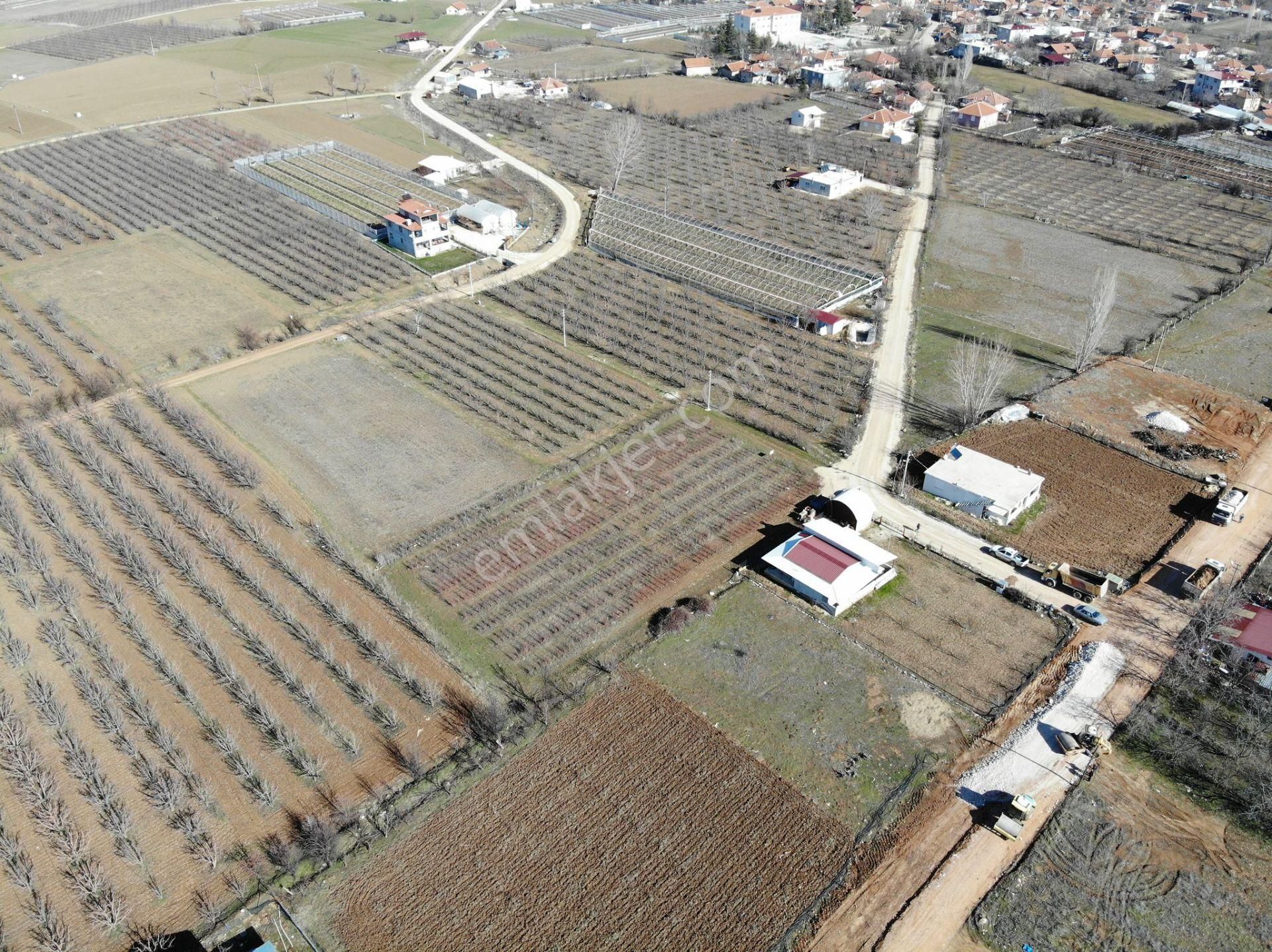 Elmalı Zümrütova Mahalle Merkezinde Kadastrol Yola Cephe 2.765m2 Satılık Elma Bahçesi - Görsel 11