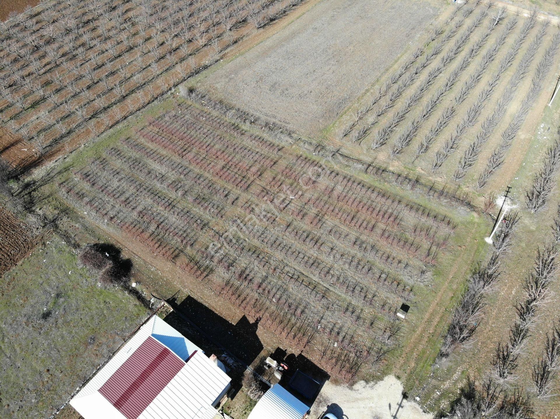 Elmalı Zümrütova Mahalle Merkezinde Kadastrol Yola Cephe 2.765m2 Satılık Elma Bahçesi - Görsel 8