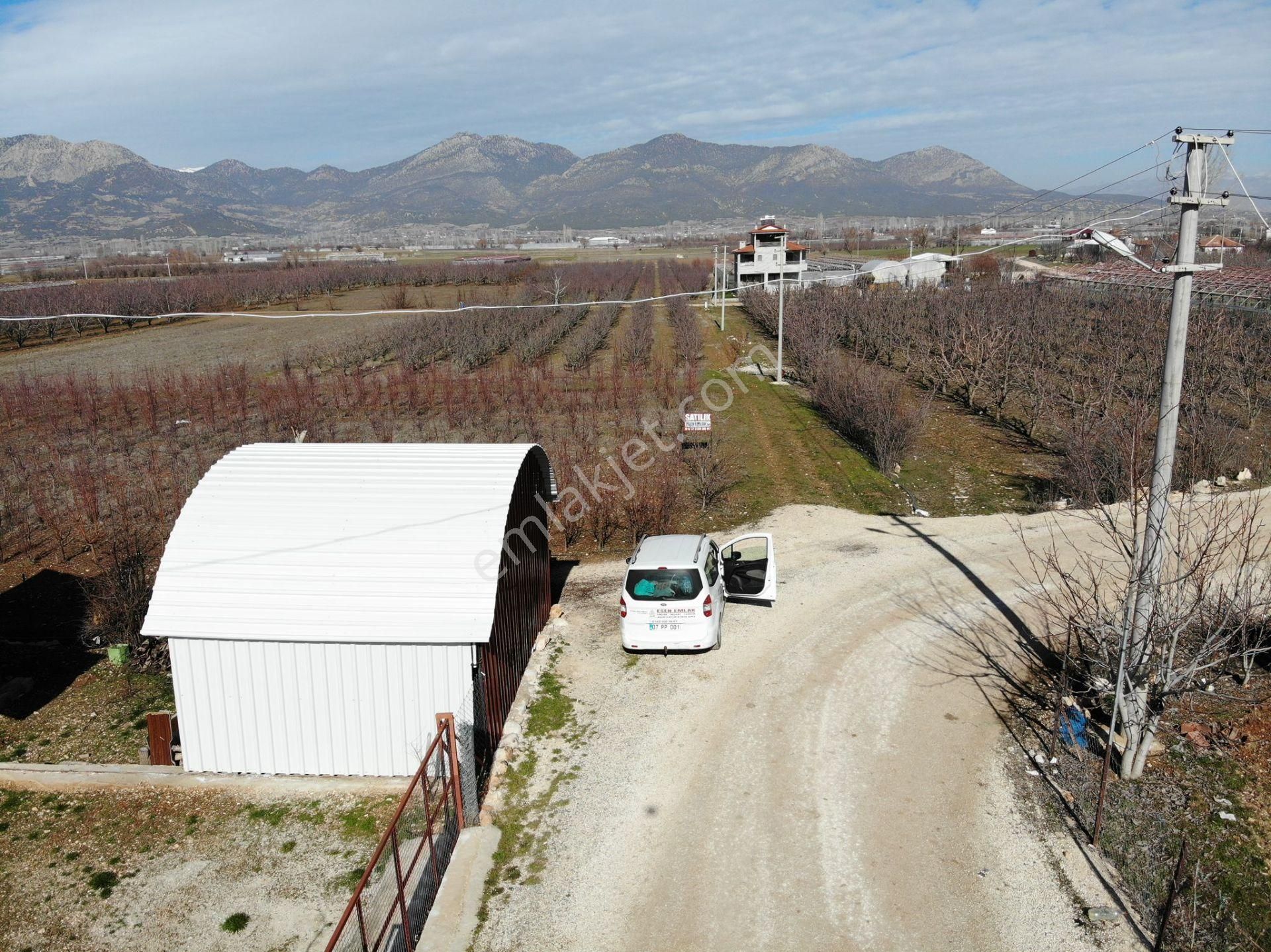 Elmalı Zümrütova Mahalle Merkezinde Kadastrol Yola Cephe 2.765m2 Satılık Elma Bahçesi - Görsel 5
