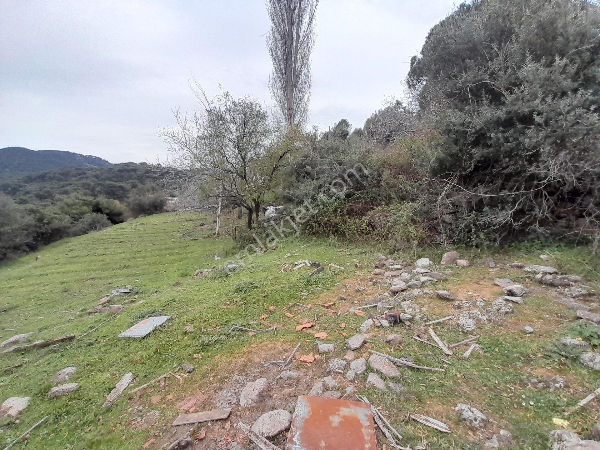 İzmir Bergama Çakırlar Köyü 805 M2 Köy İçi Satılık Bahçe - Görsel 11