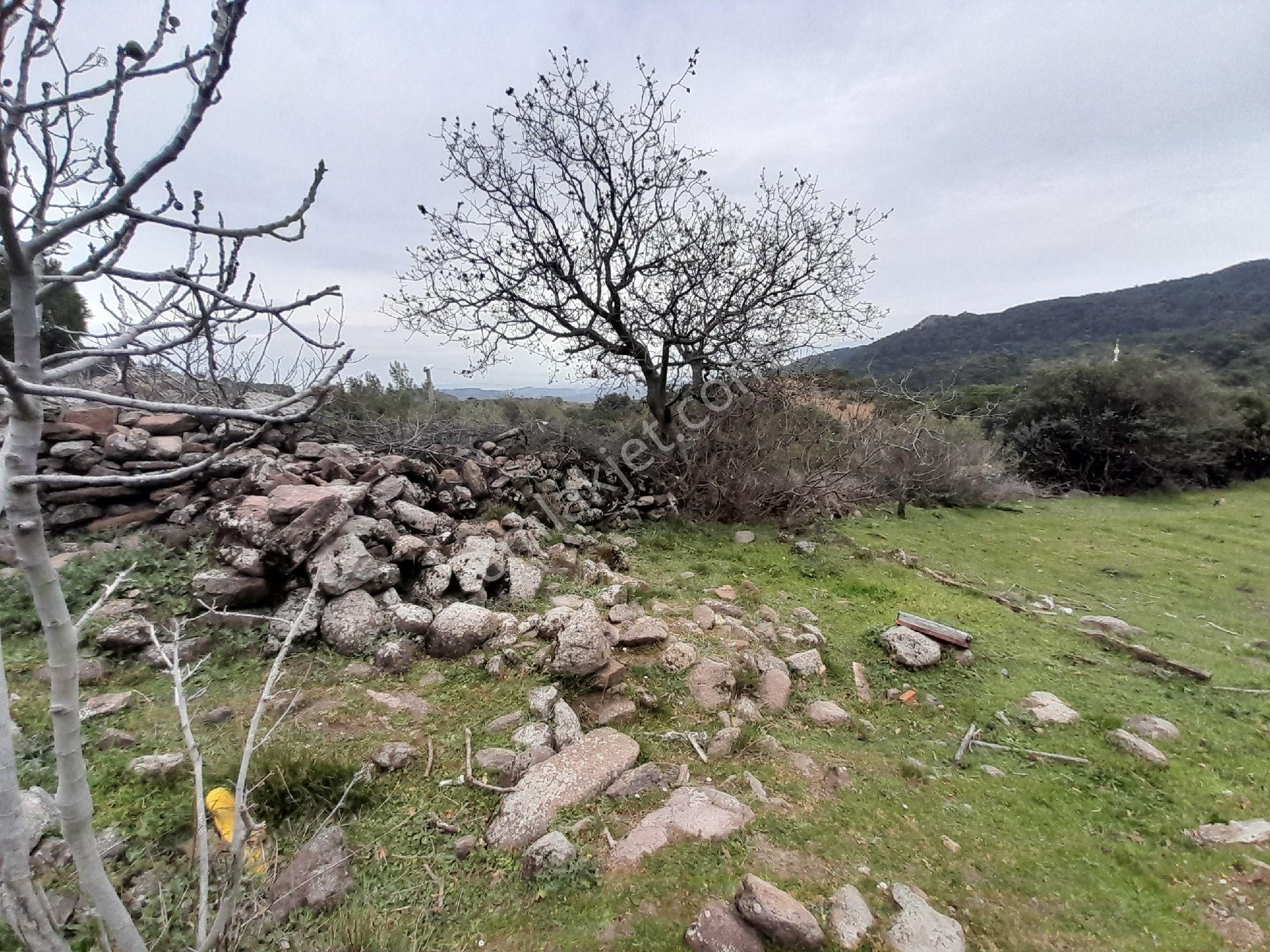 İzmir Bergama Çakırlar Köyü 805 M2 Köy İçi Satılık Bahçe - Görsel 13