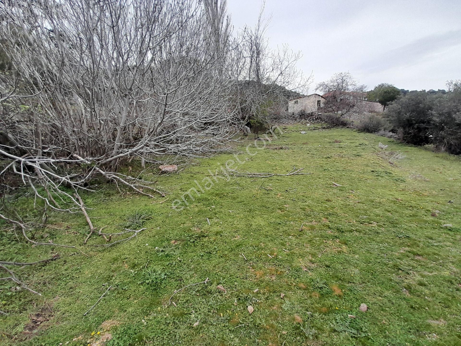 İzmir Bergama Çakırlar Köyü 805 M2 Köy İçi Satılık Bahçe - Görsel 5
