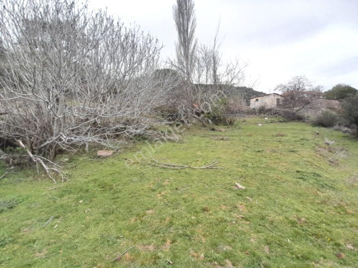 İzmir Bergama Çakırlar Köyü 805 M2 Köy İçi Satılık Bahçe - Görsel 2