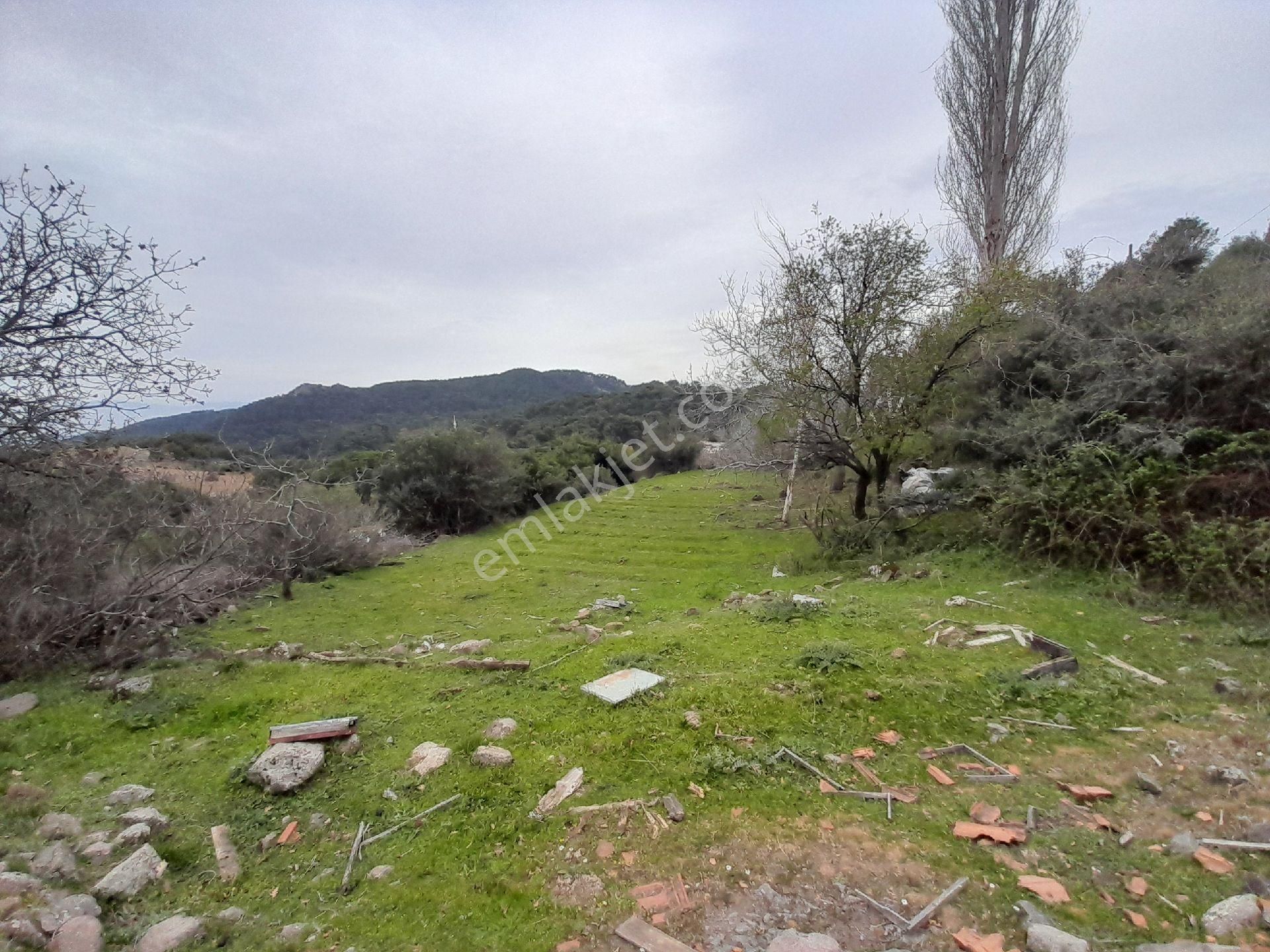 İzmir Bergama Çakırlar Köyü 805 M2 Köy İçi Satılık Bahçe - Görsel 10