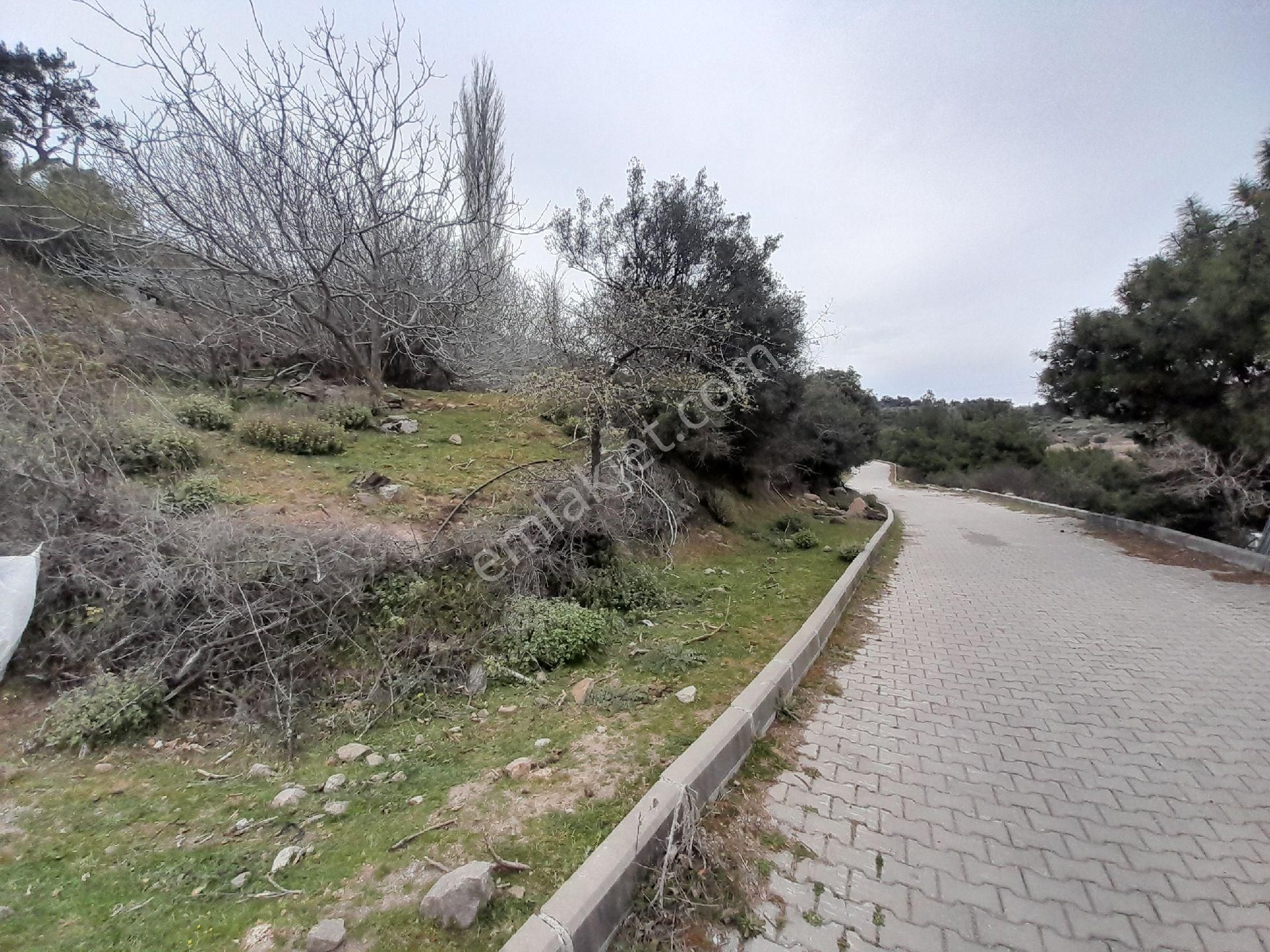 İzmir Bergama Çakırlar Köyü 805 M2 Köy İçi Satılık Bahçe - Görsel 8