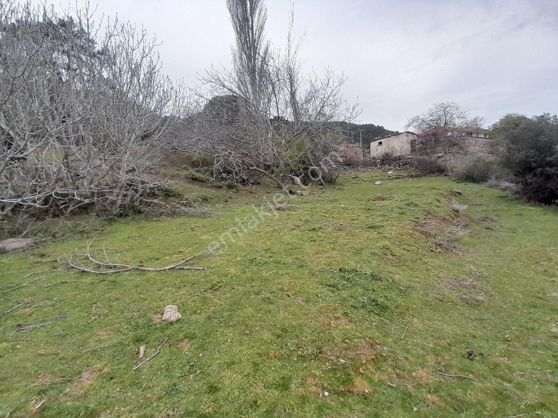 İzmir Bergama Çakırlar Köyü 805 M2 Köy İçi Satılık Bahçe - Görsel 14