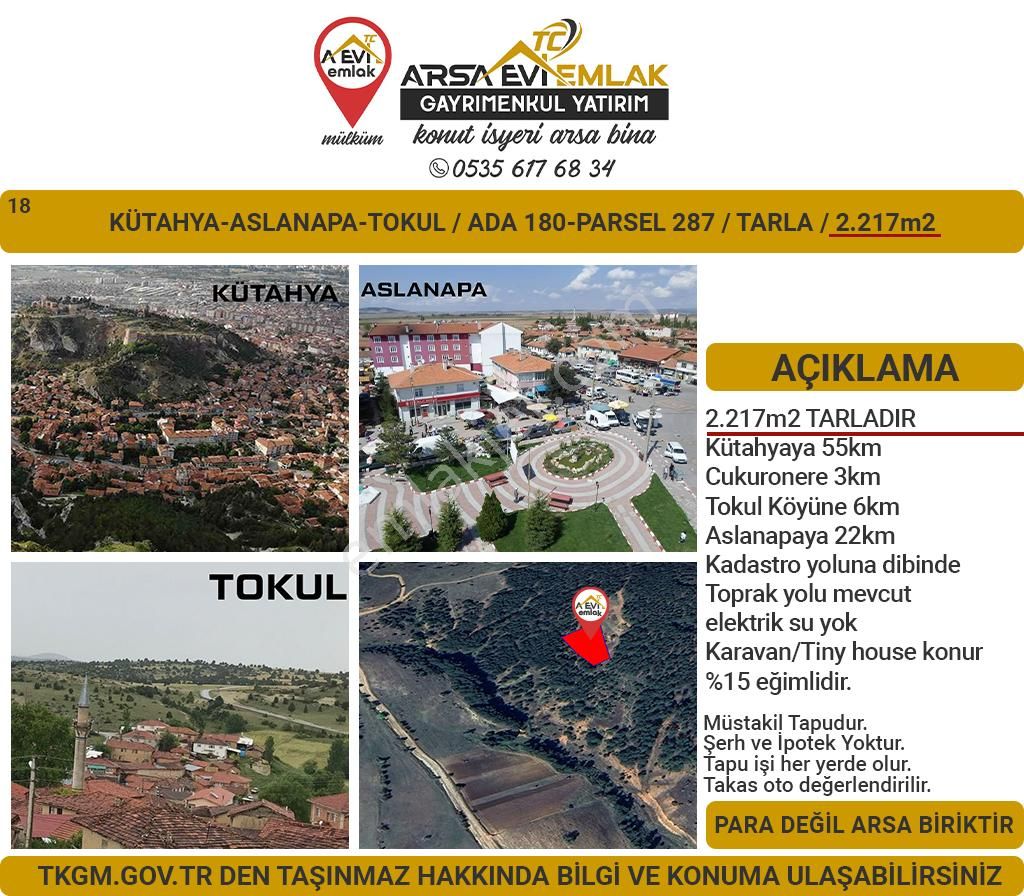 Aslanapa Tokul Köyü Satılık Tarla Kütahya Aslanapa Tokul 2217m2 Satılık Tarla