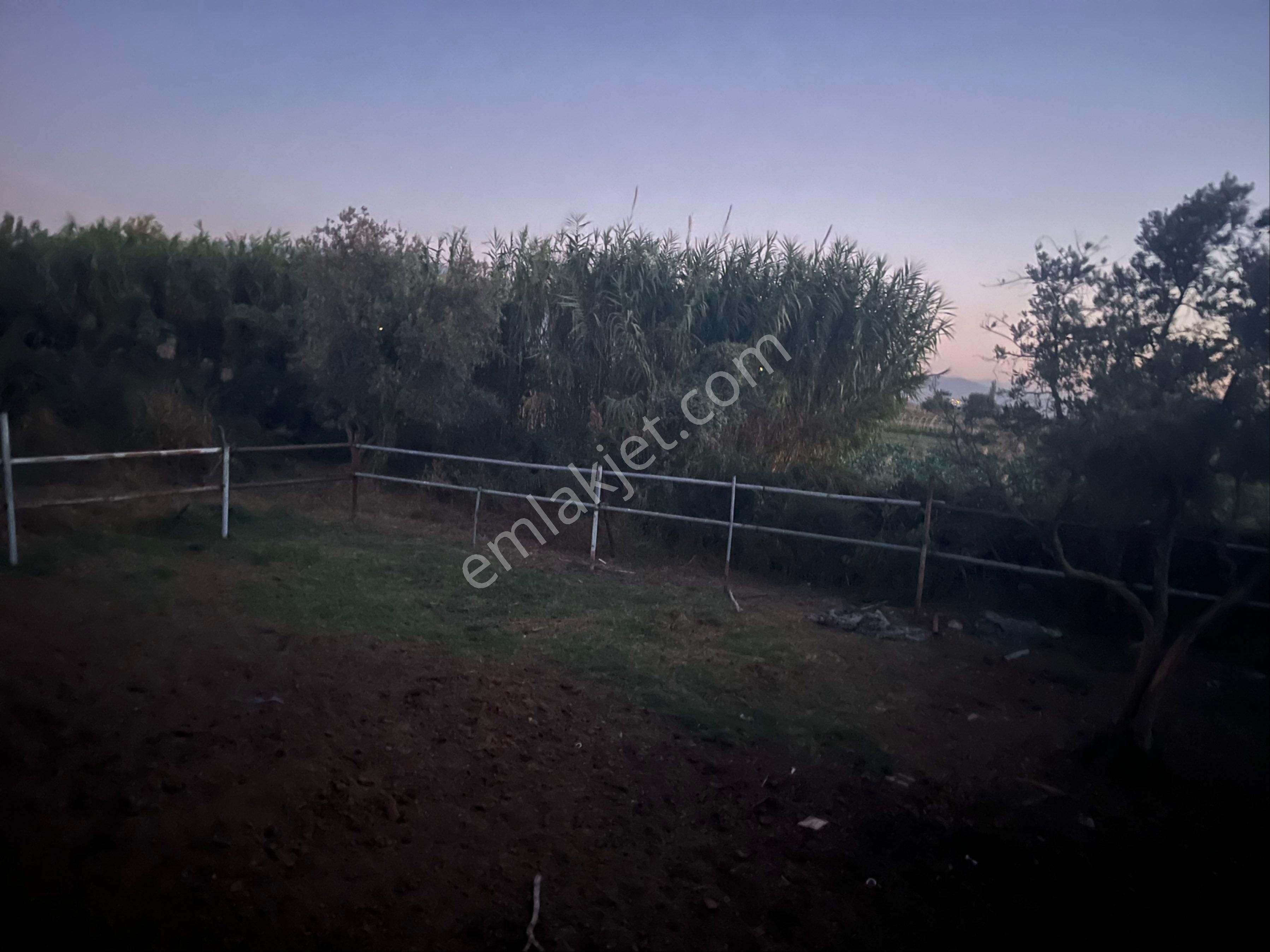 Yeşilyurt Mahallesinde Hazır Kurulu Düzen Satılık Çiftlik - Görsel 6