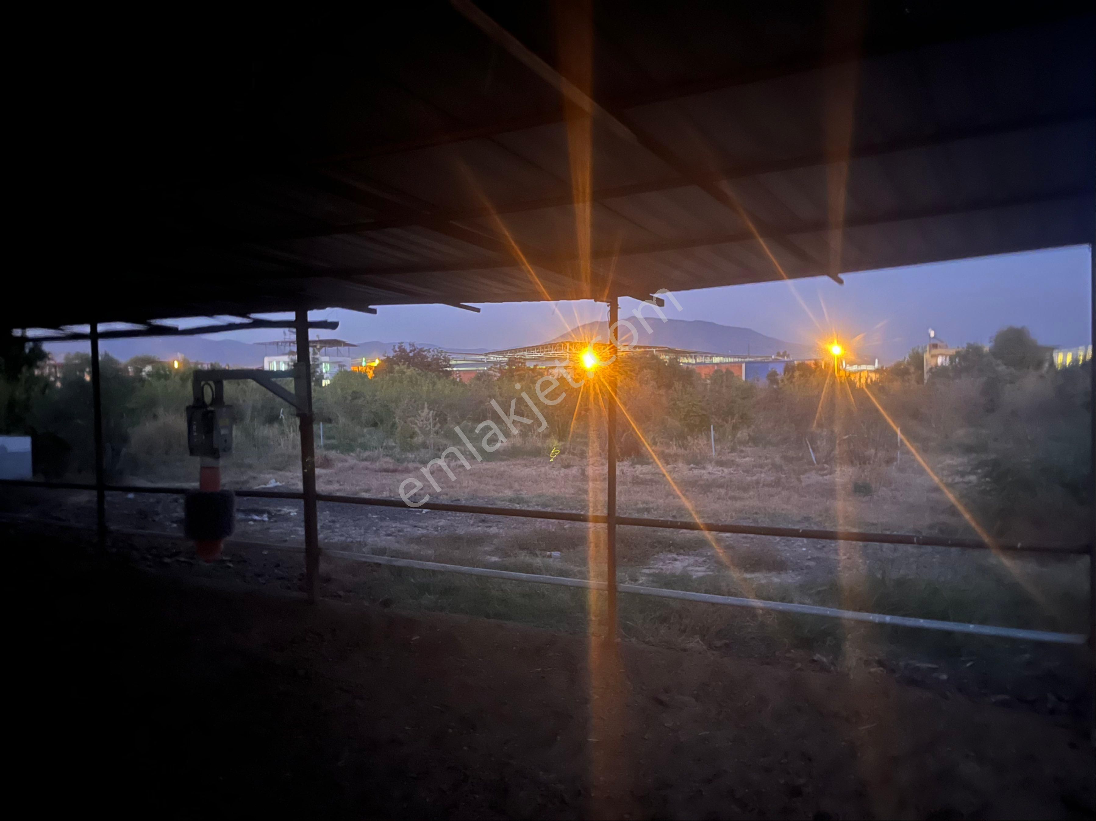 Yeşilyurt Mahallesinde Hazır Kurulu Düzen Satılık Çiftlik - Görsel 5