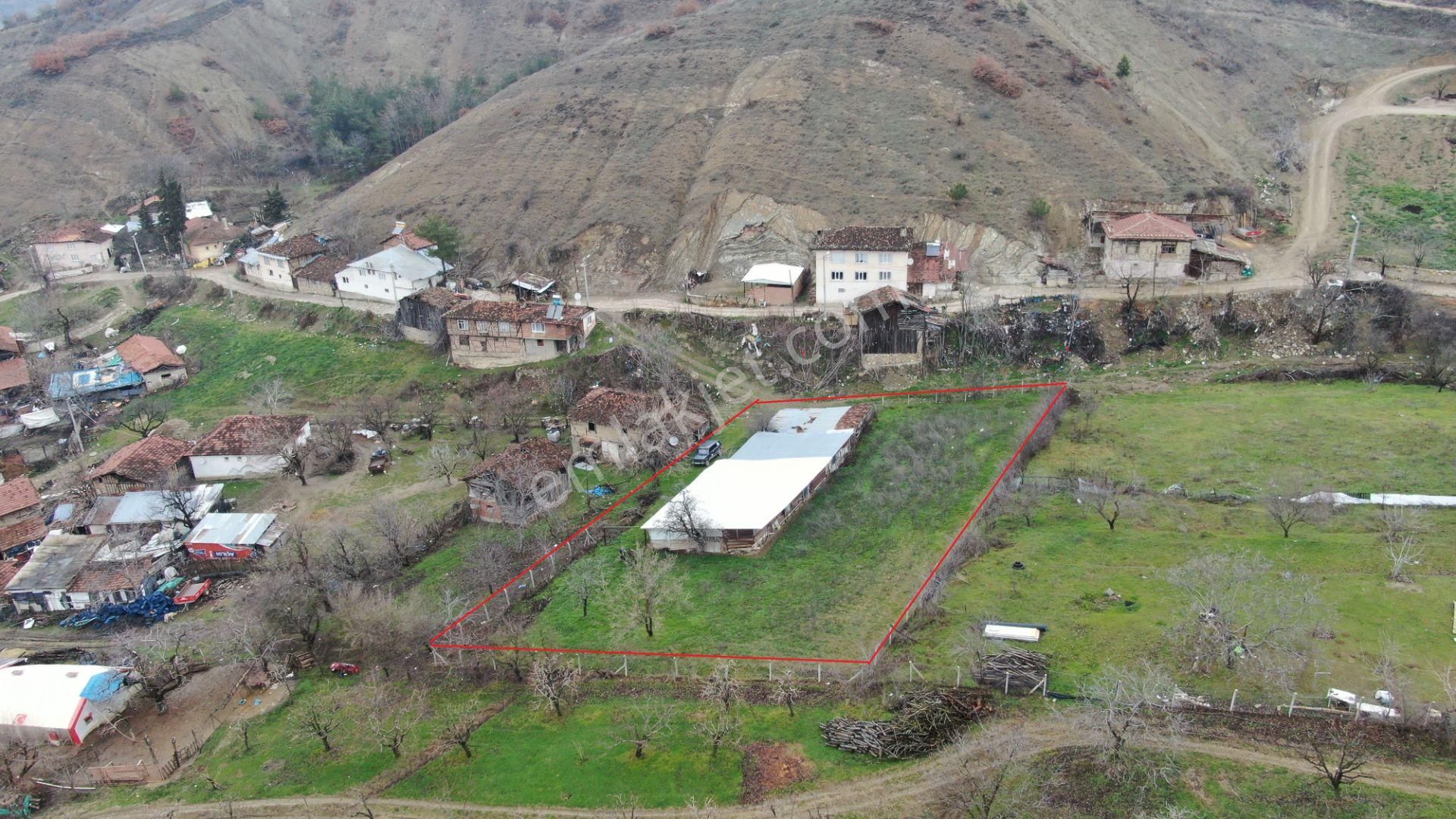 İnegöl Doğanyurdu Satılık Tarla Doğanyurdumh.sinde 1817m2 Ahır Ve Bahçesi İnegöl'e Yakın Arazi