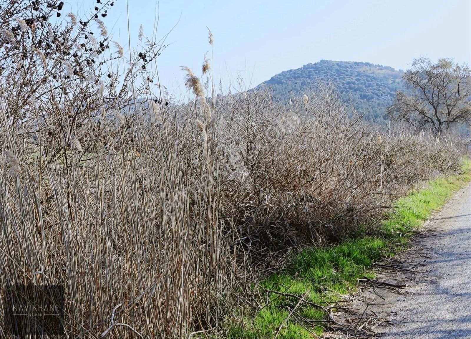 Torbalı Arslanlar Satılık Tarla Torbalı Arslanlar Köyünde 2.850 M2 Yolu Açılmış Arazi