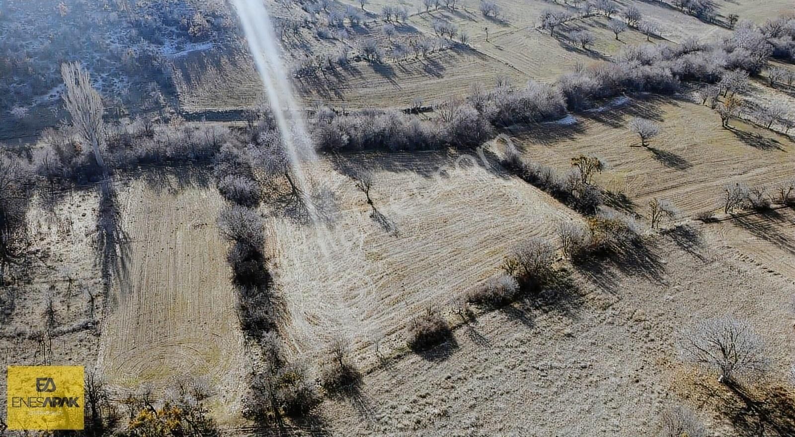 Beyşehir Eğirler Satılık Bağ & Bahçe Konya Beyşehir Eğirler'de 4530 M2 Tek Tapu Yolu Suyu Olan Bahçe