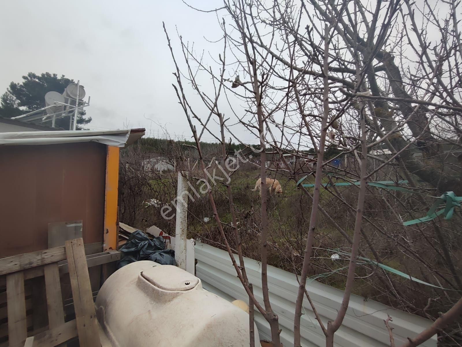 Satılık 235 M2 Bahçe İzmir Bornova Yakaköy - Görsel 29