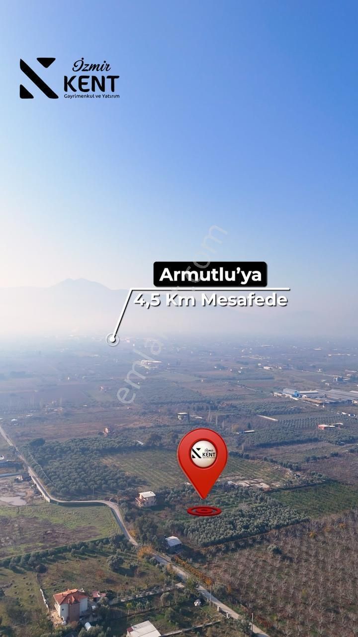 Kemalpaşa Armutlu Satılık 1.787 M2 Bahçe - Görsel 13